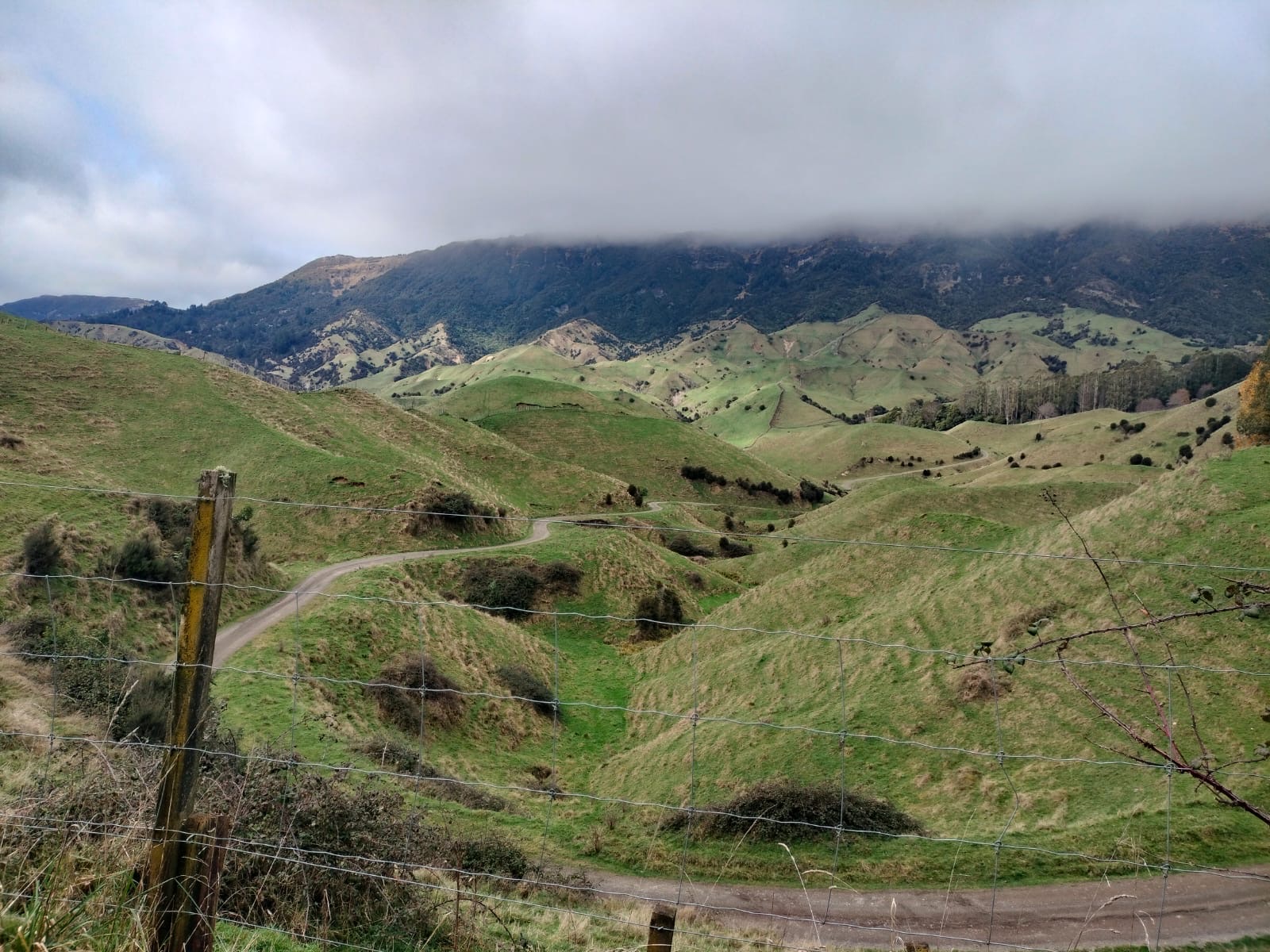 Waitara Road image 5