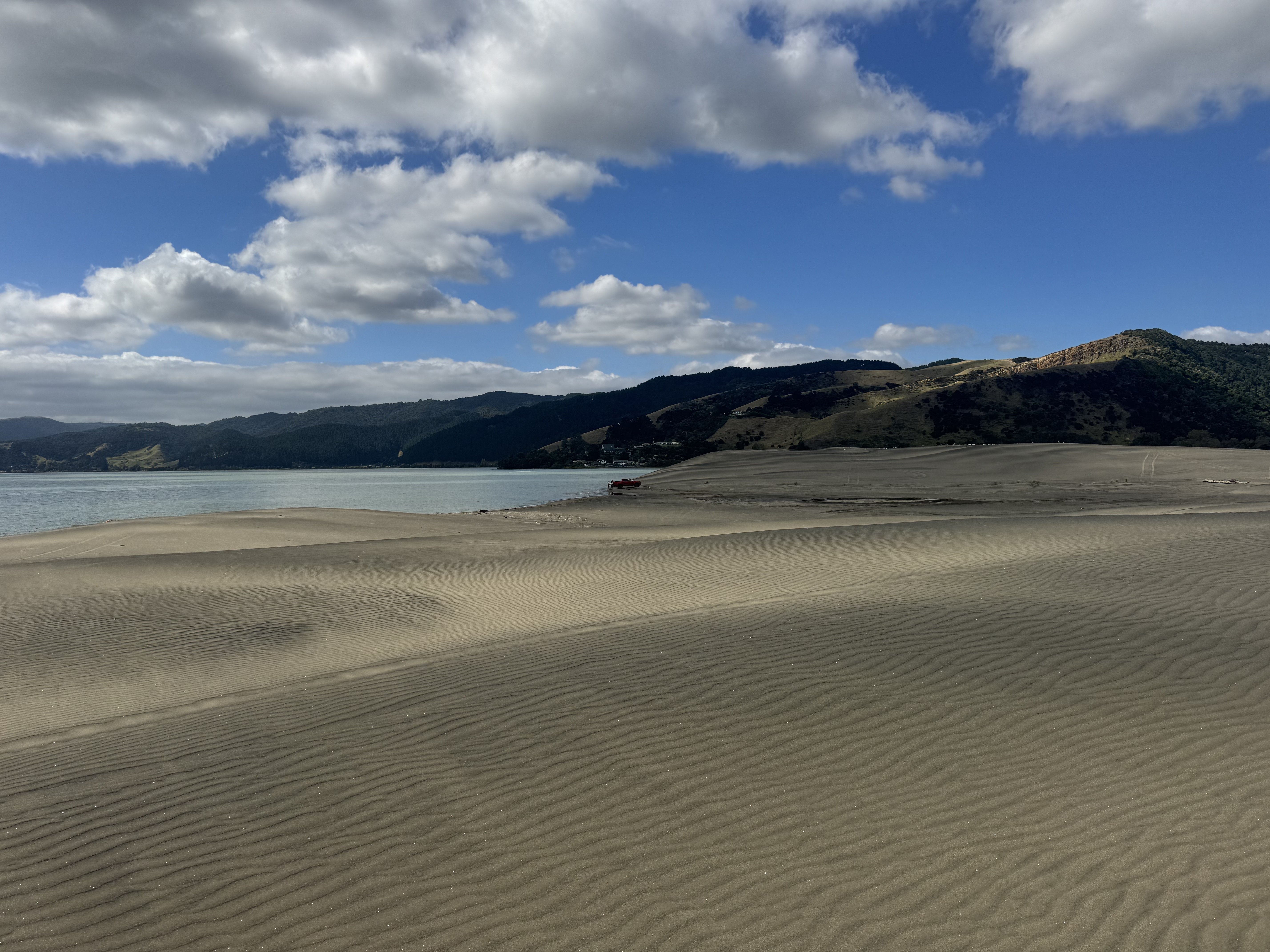 Port Waikato image 6