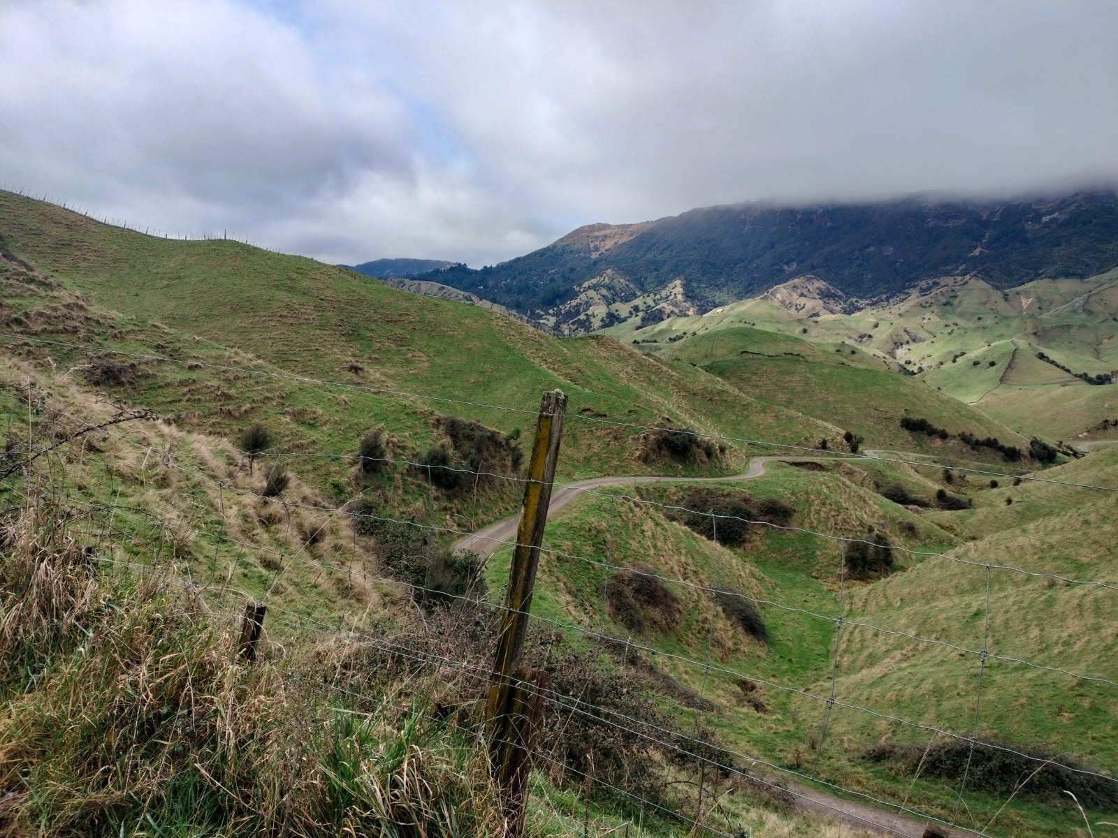 Pohokura Road image 3