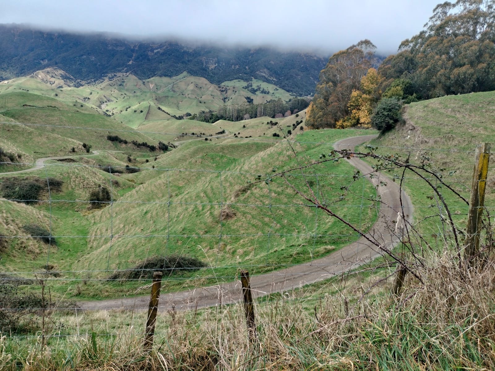 Pohokura Road image 2