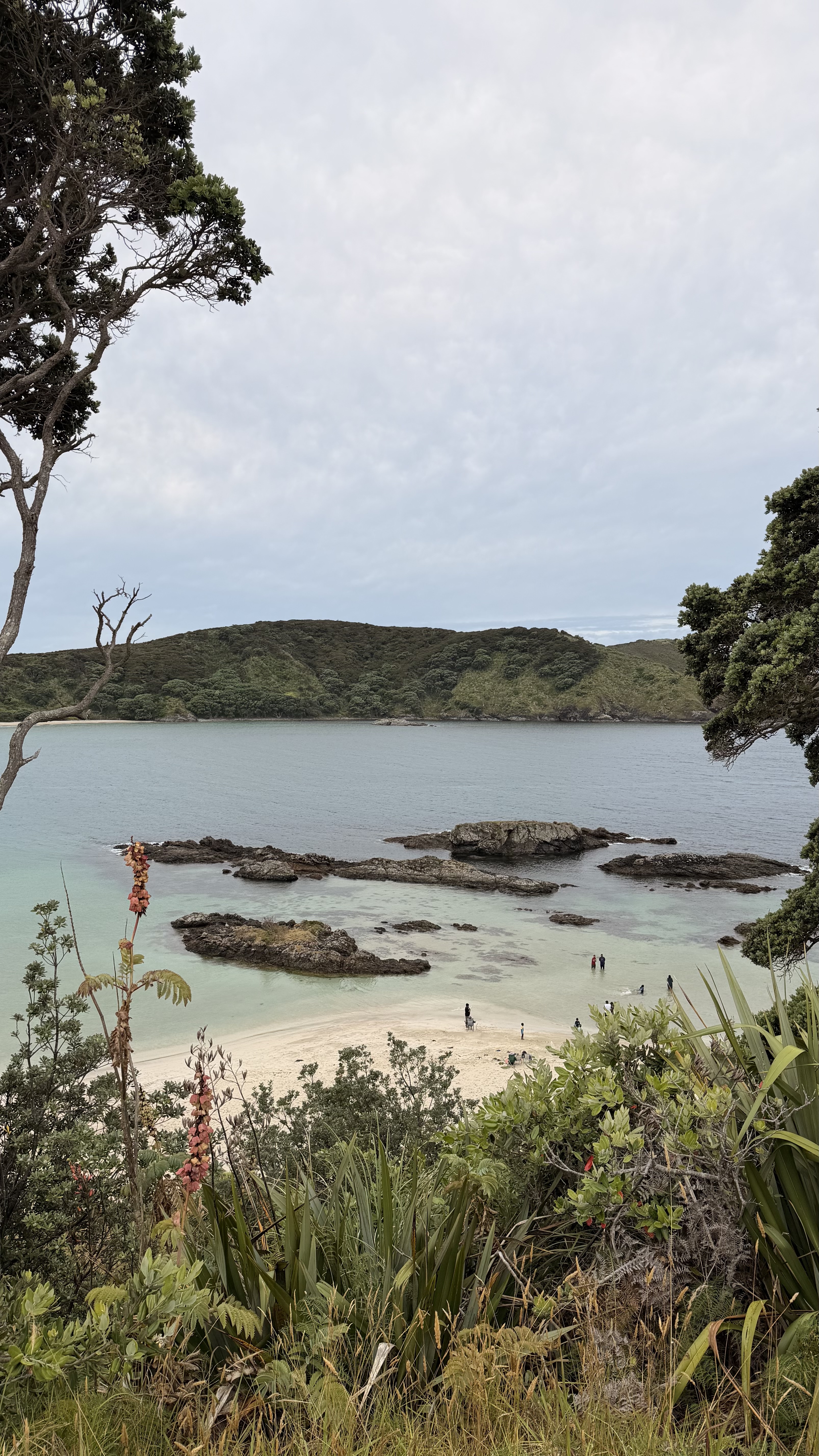 Maitai Bay Campsite  image 1