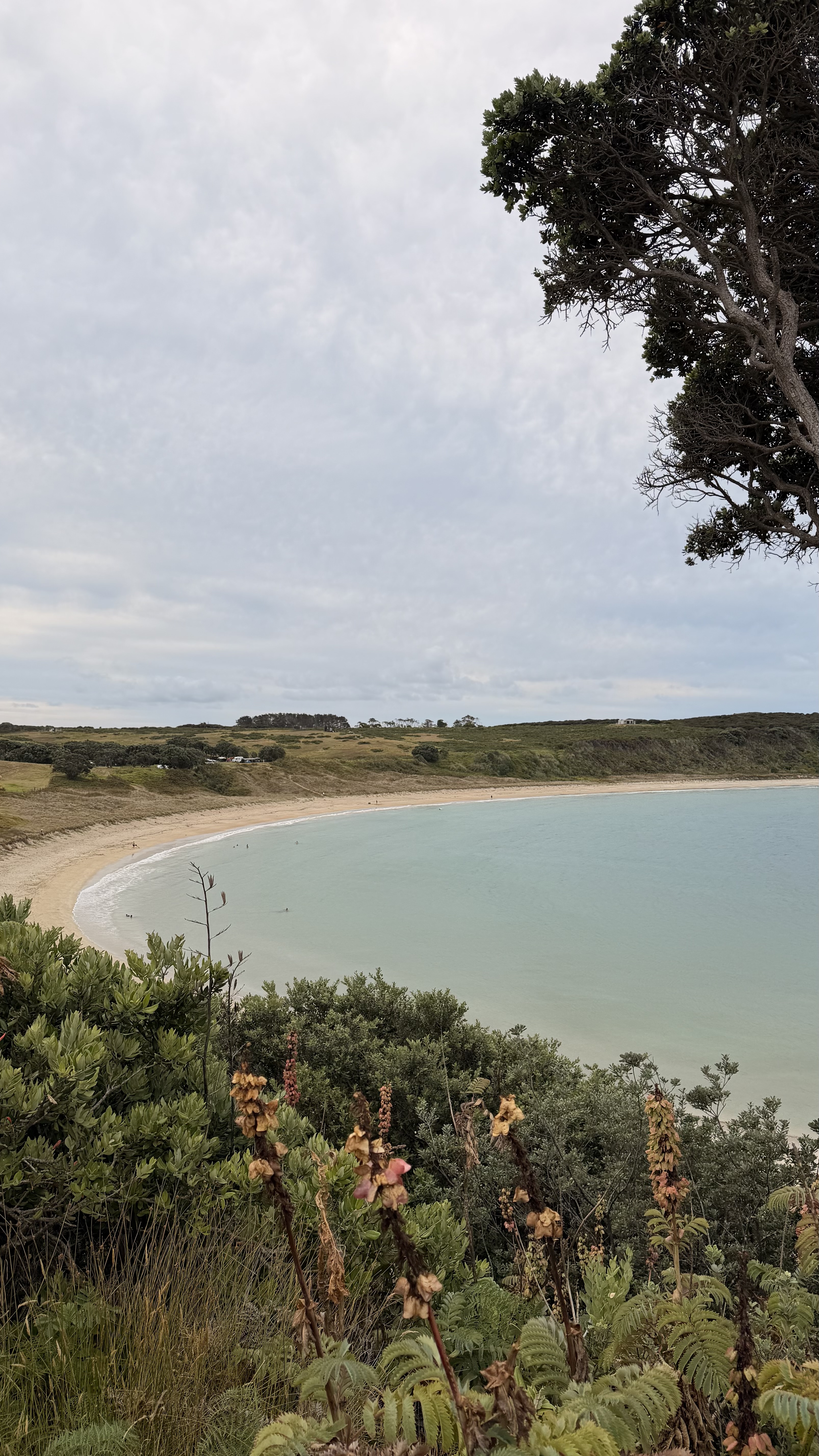 Maitai Bay Campsite  image 3