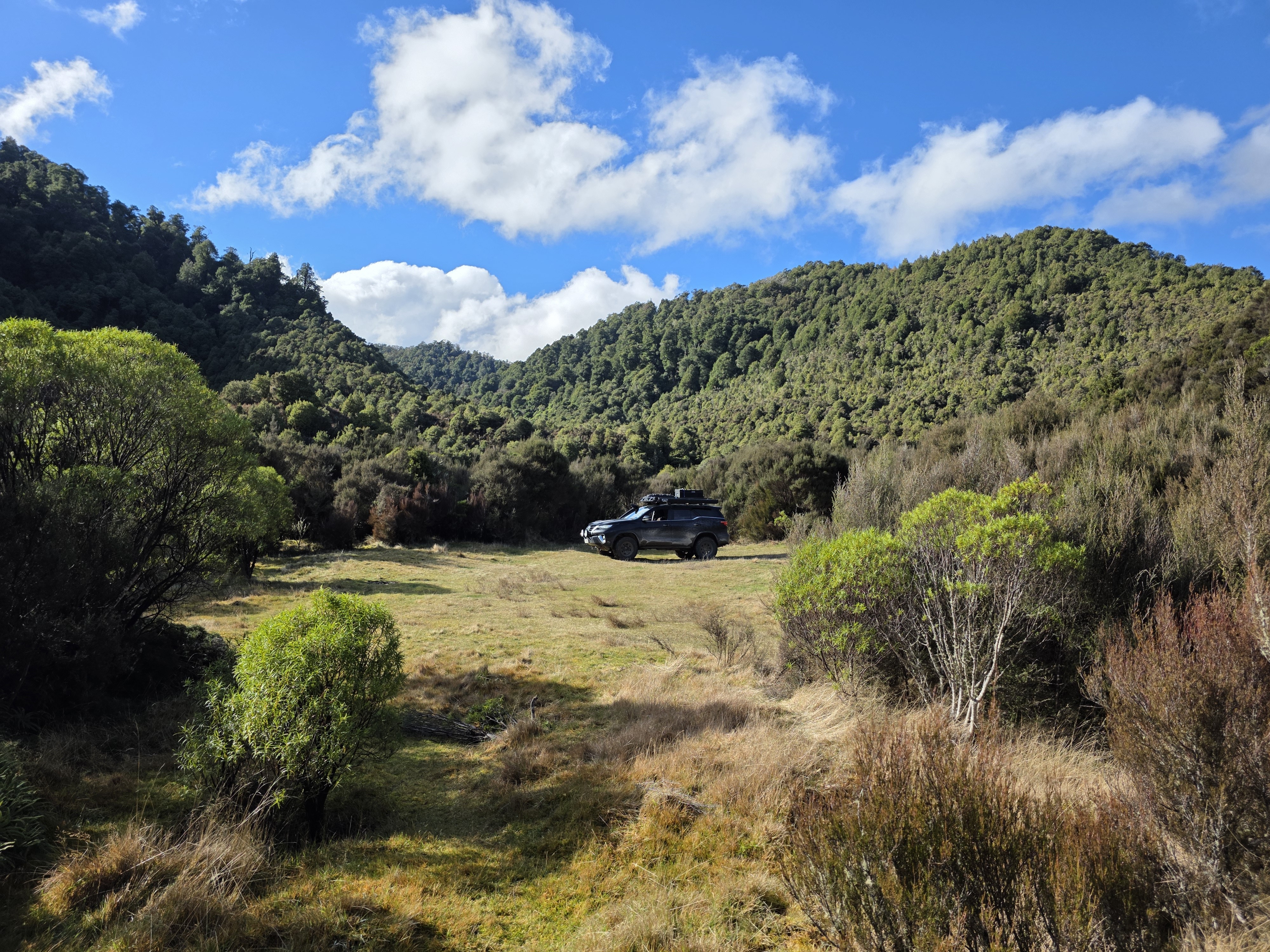 Whirinaki Forest image 3