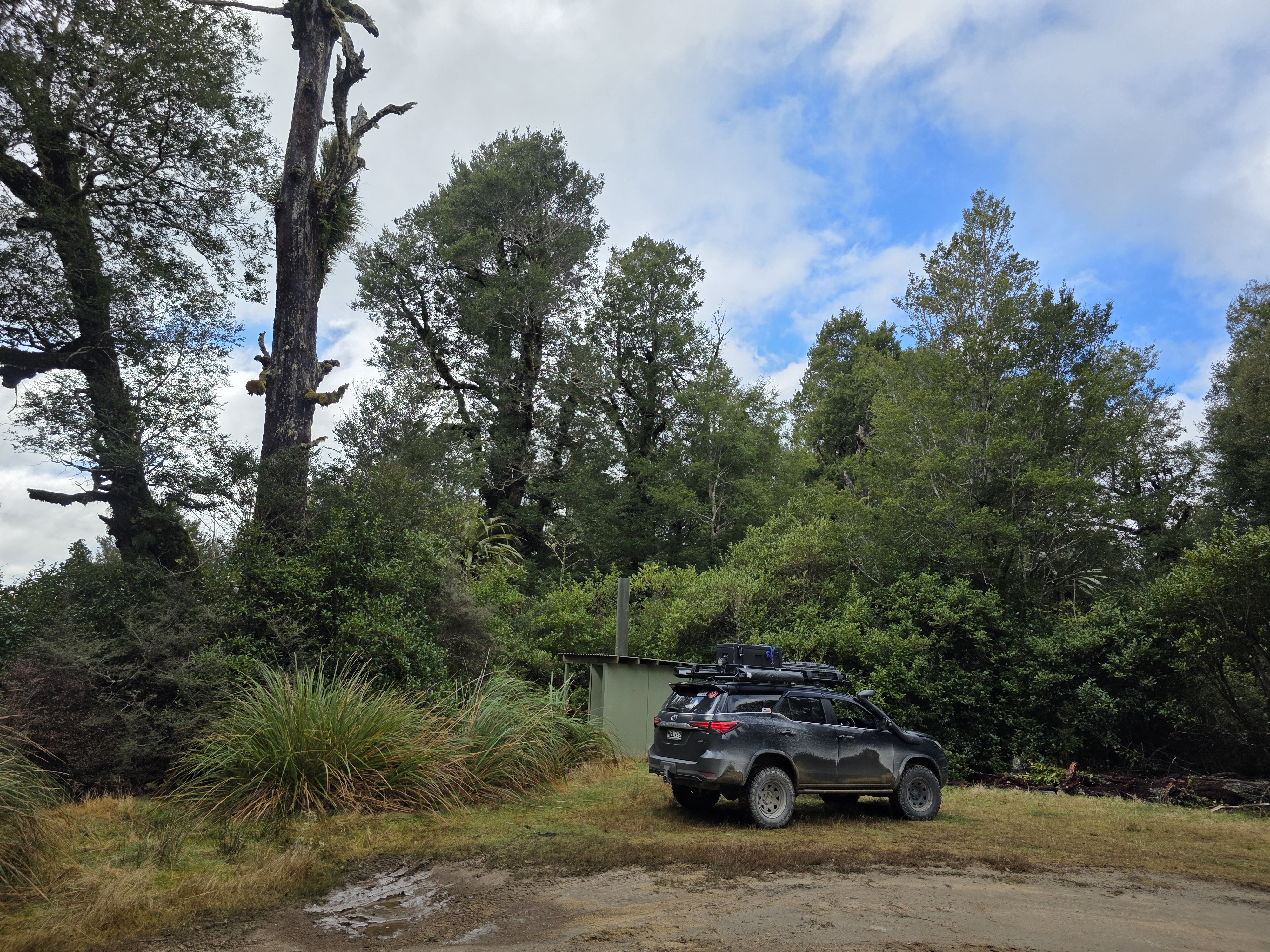 Whirinaki Forest image 8