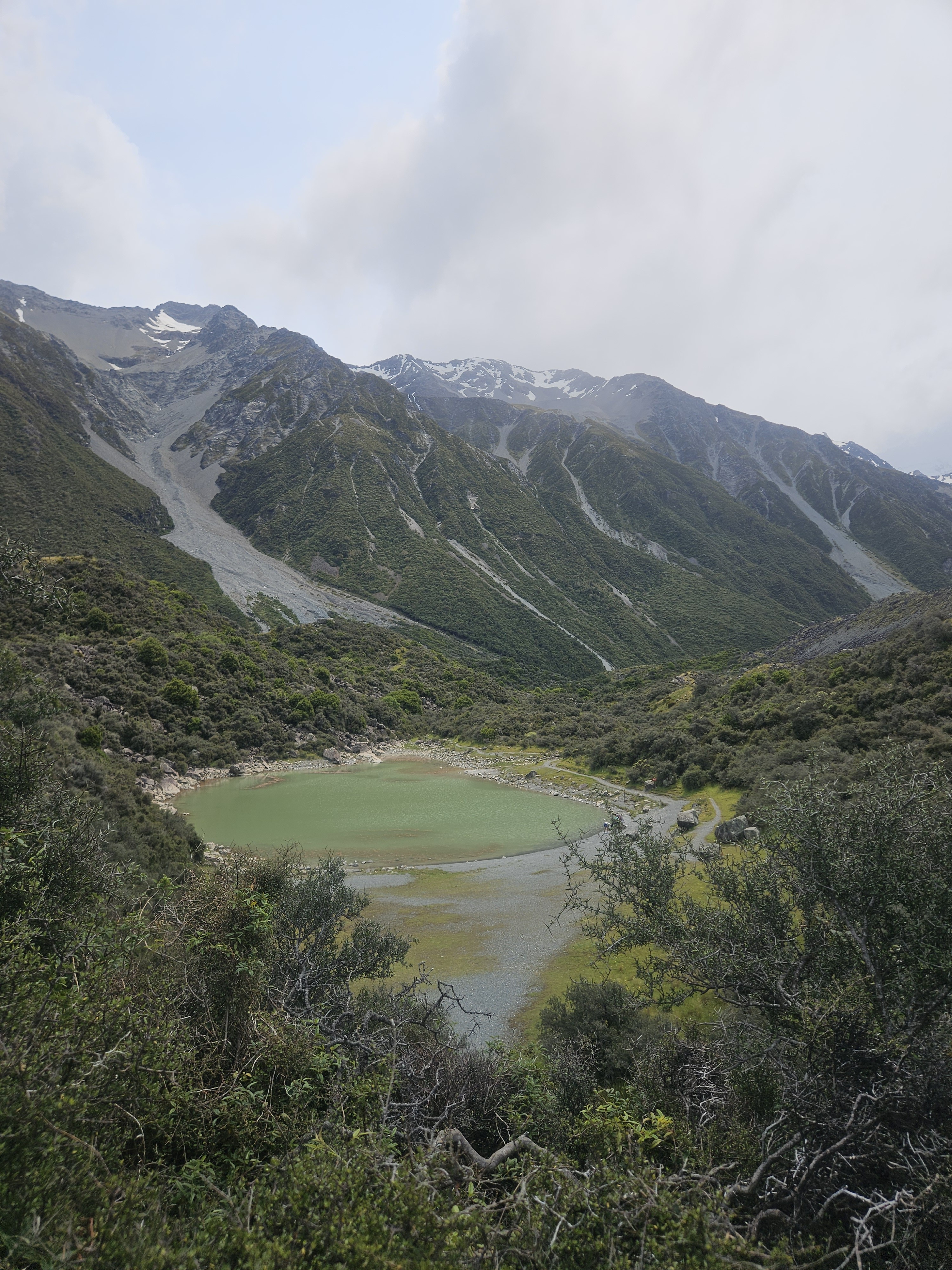 Tasman Valley image 7