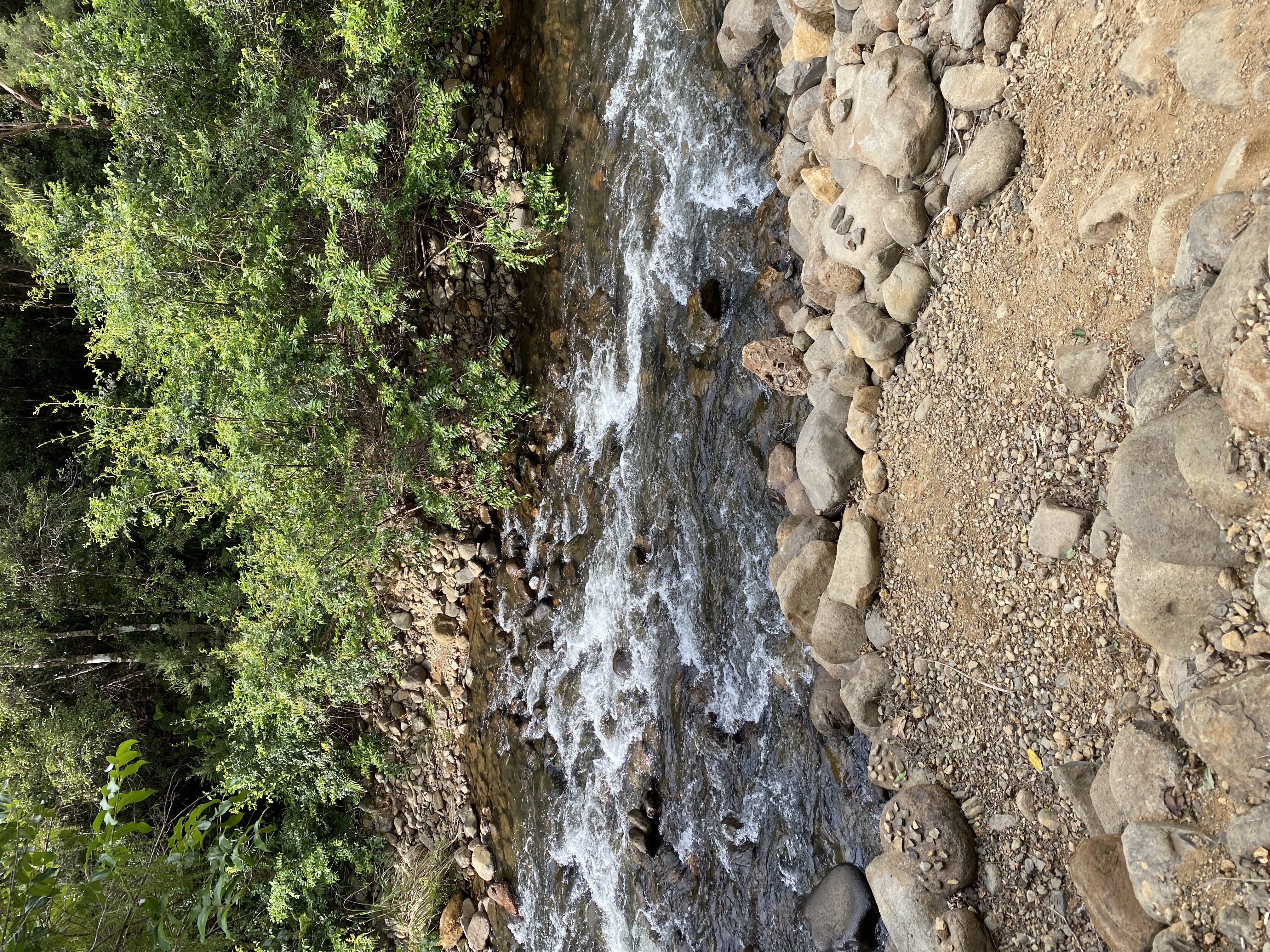 Whangaiterenga Campsite image 3