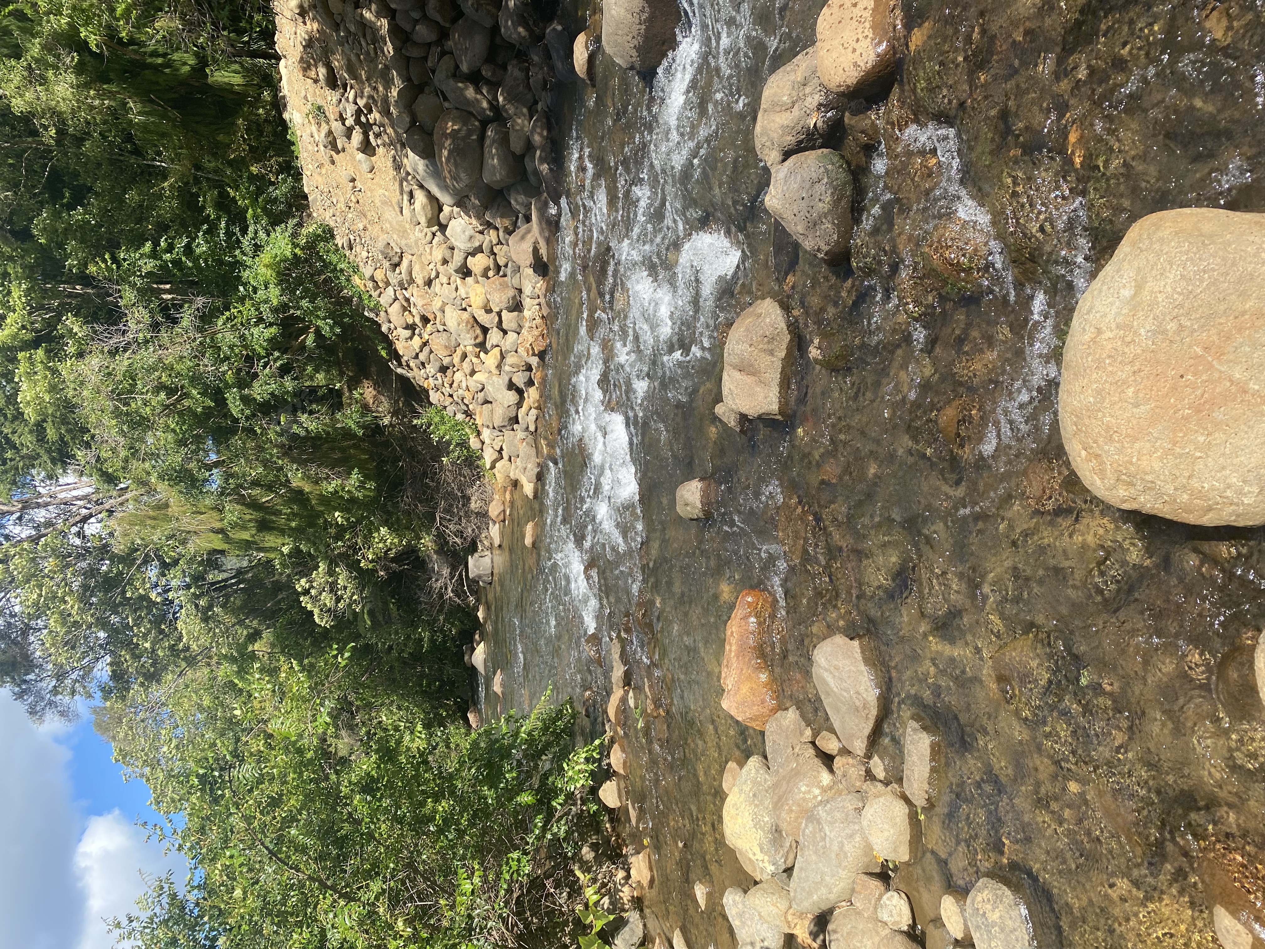 Whangaiterenga Campsite image 2