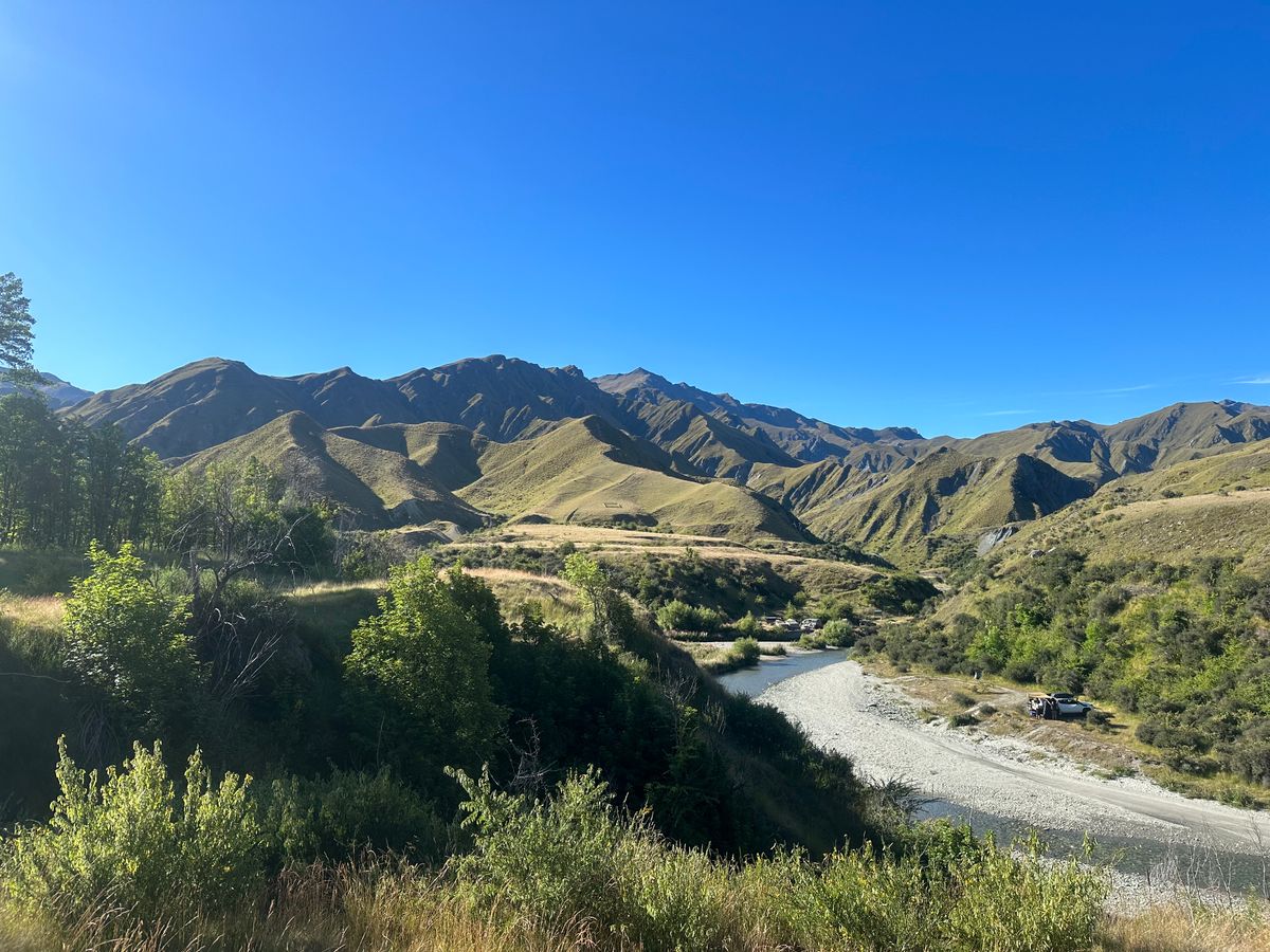 Macetown Campsite image 4