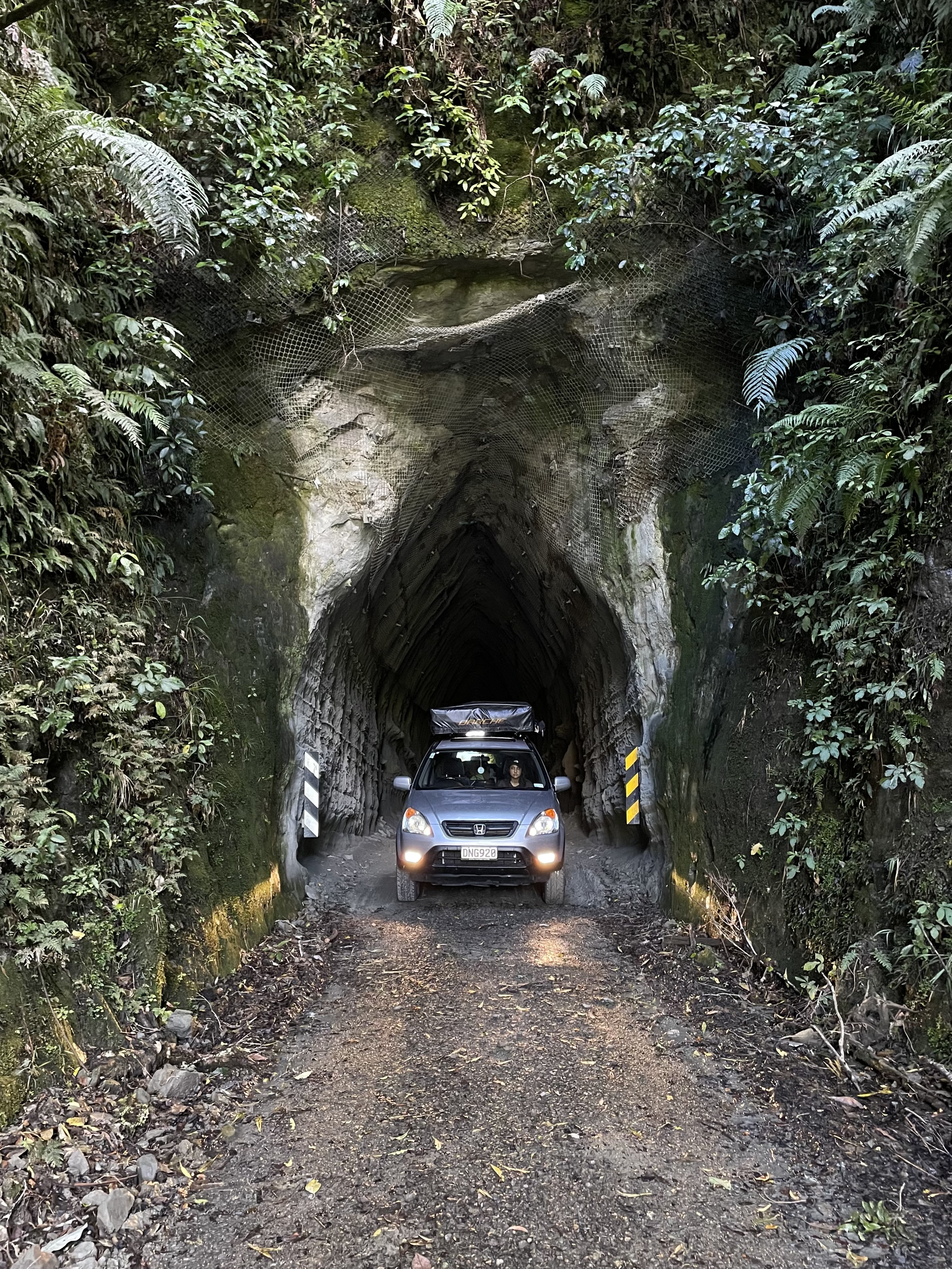 Kiwi Road image 4