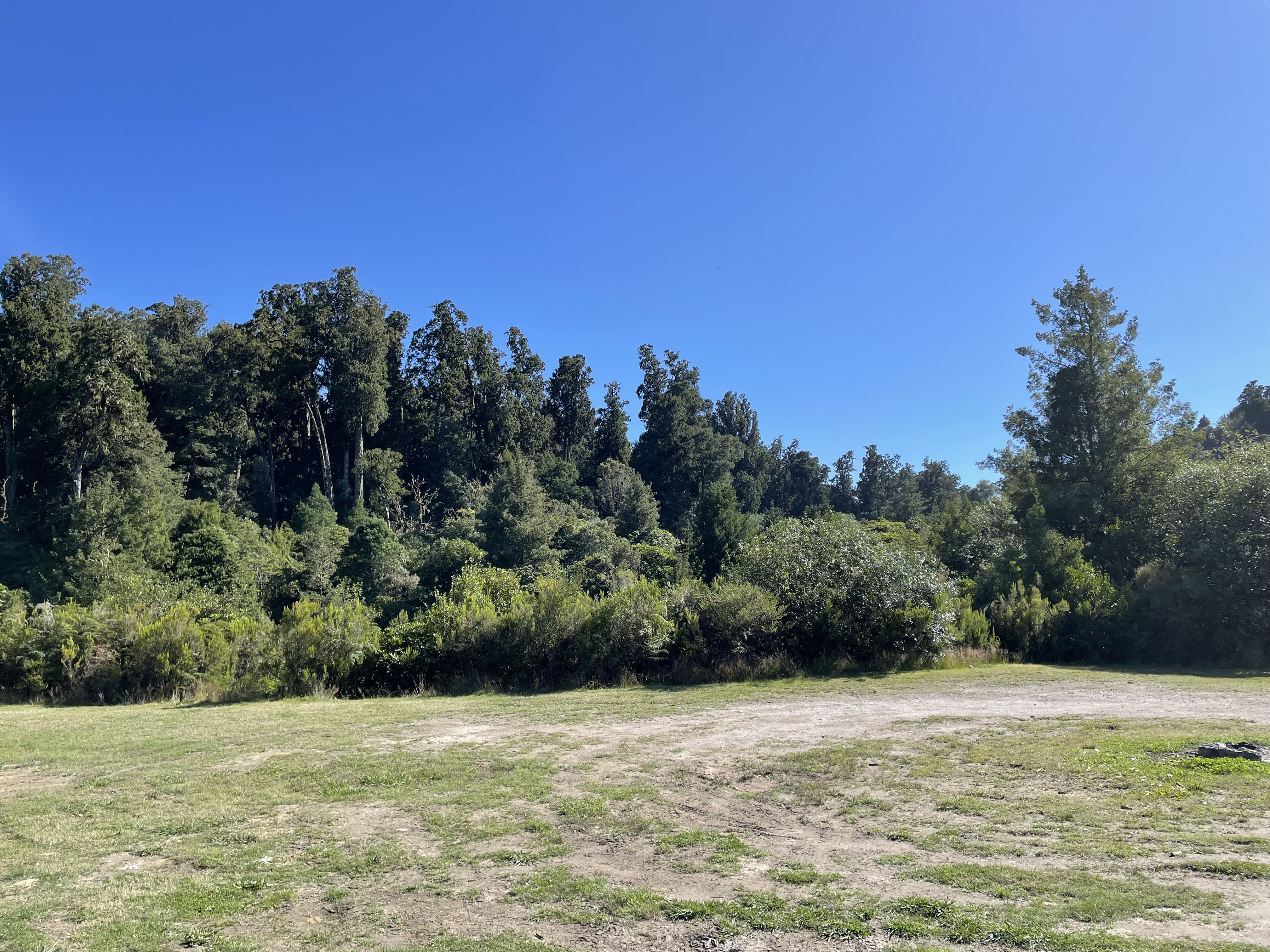 Kakaho Campsite image 2