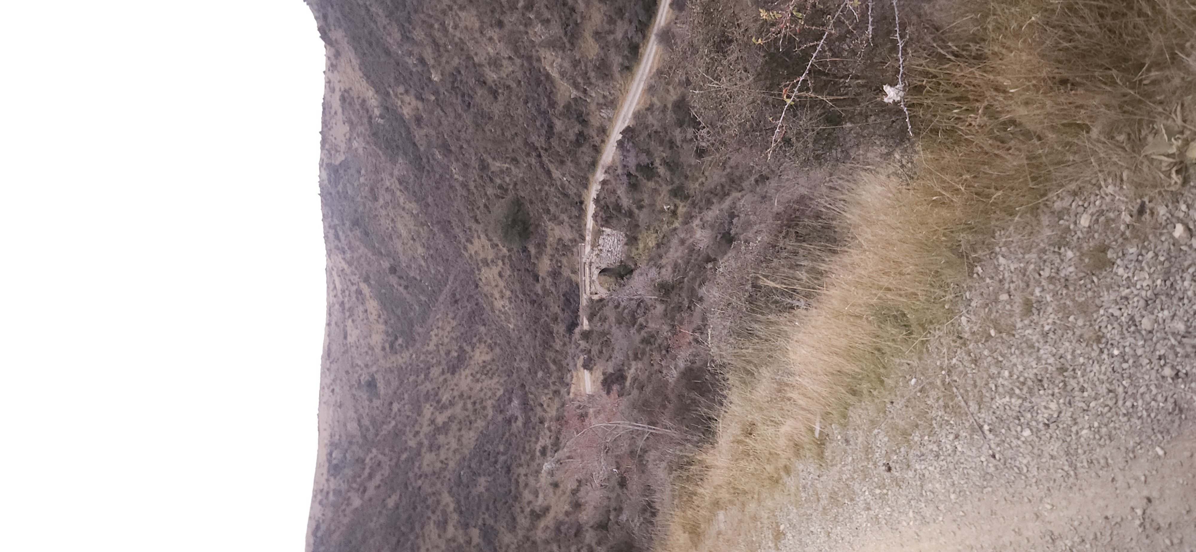 Meyers Pass image 3