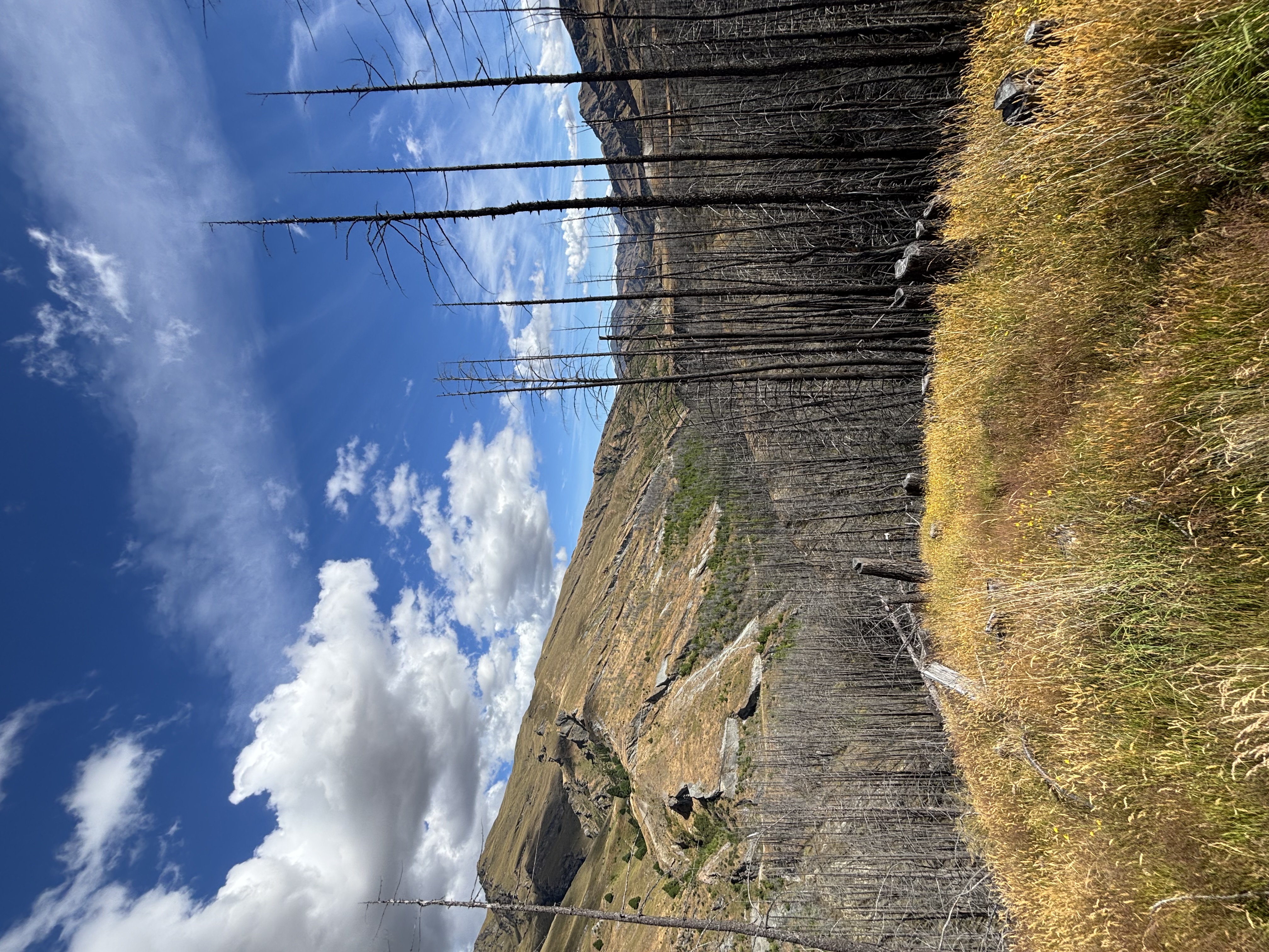 Skippers Campsite image 1