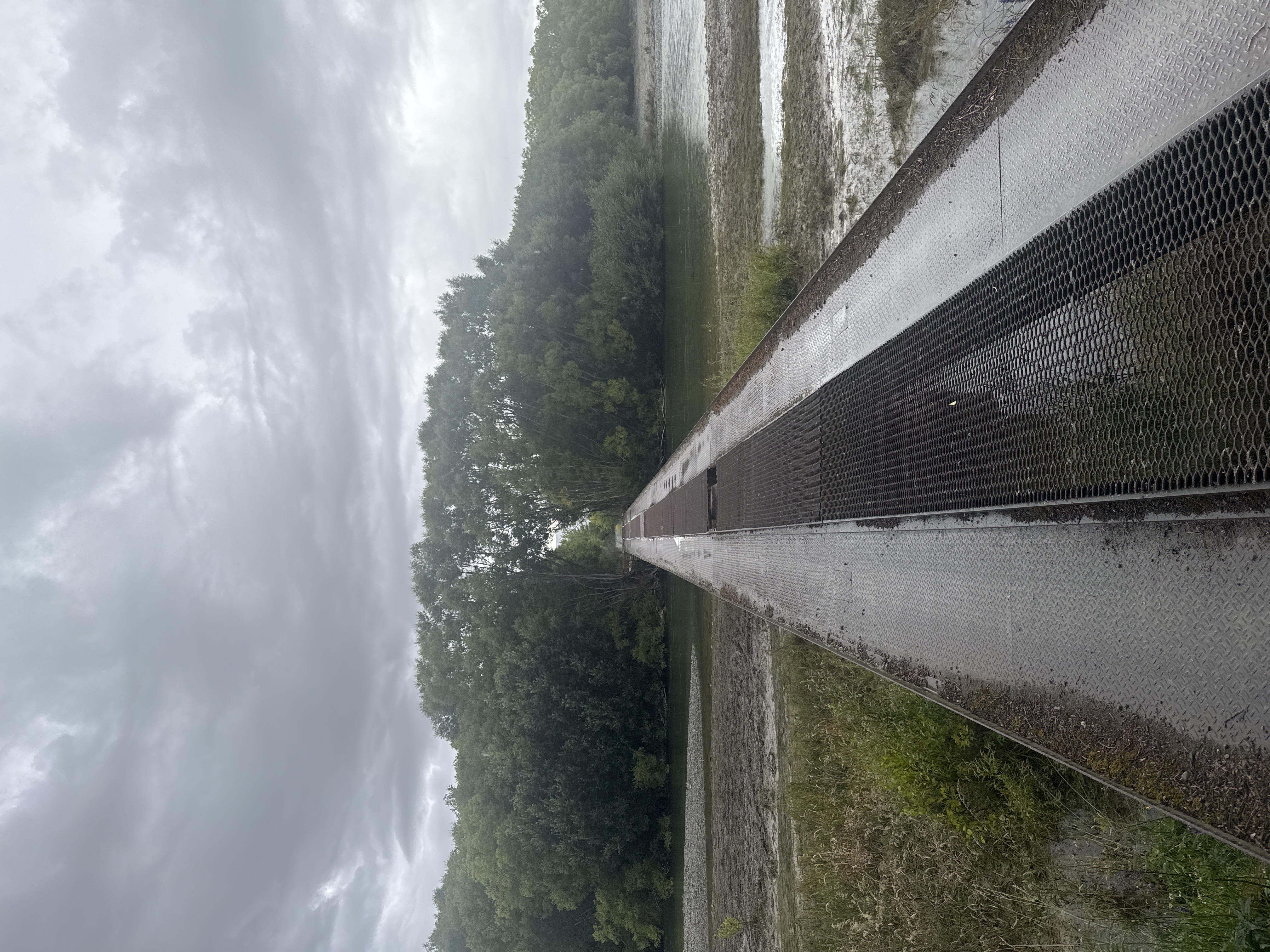 Haldon Arm to lookout - via Iron Bridge image 2