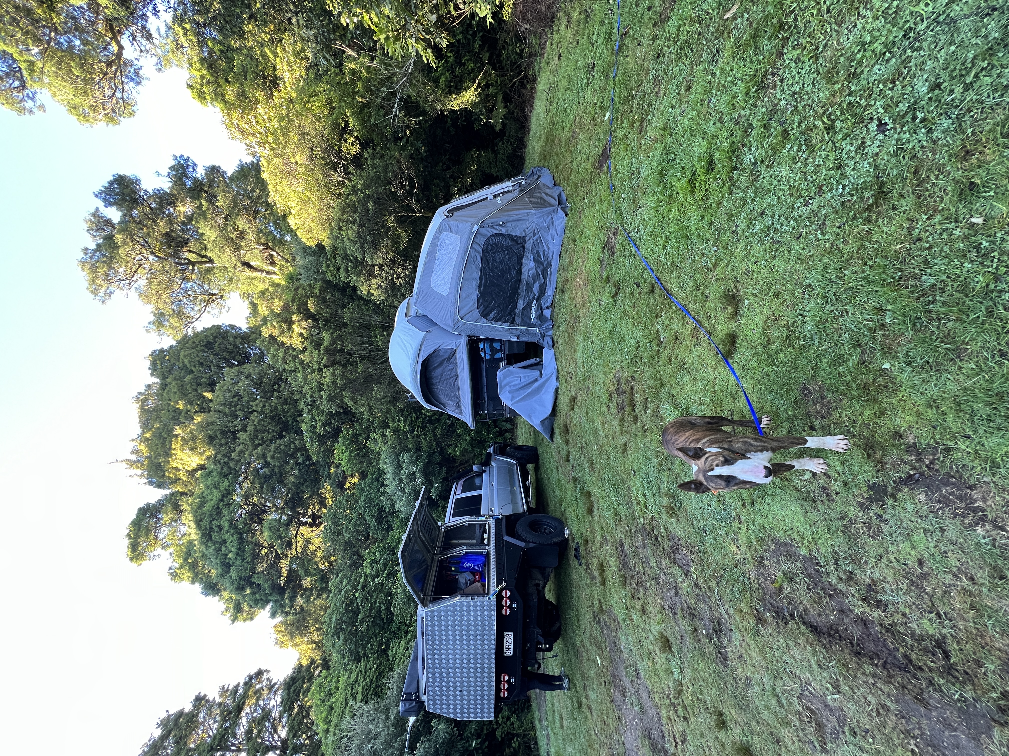Ngaherenga Campsite image 3
