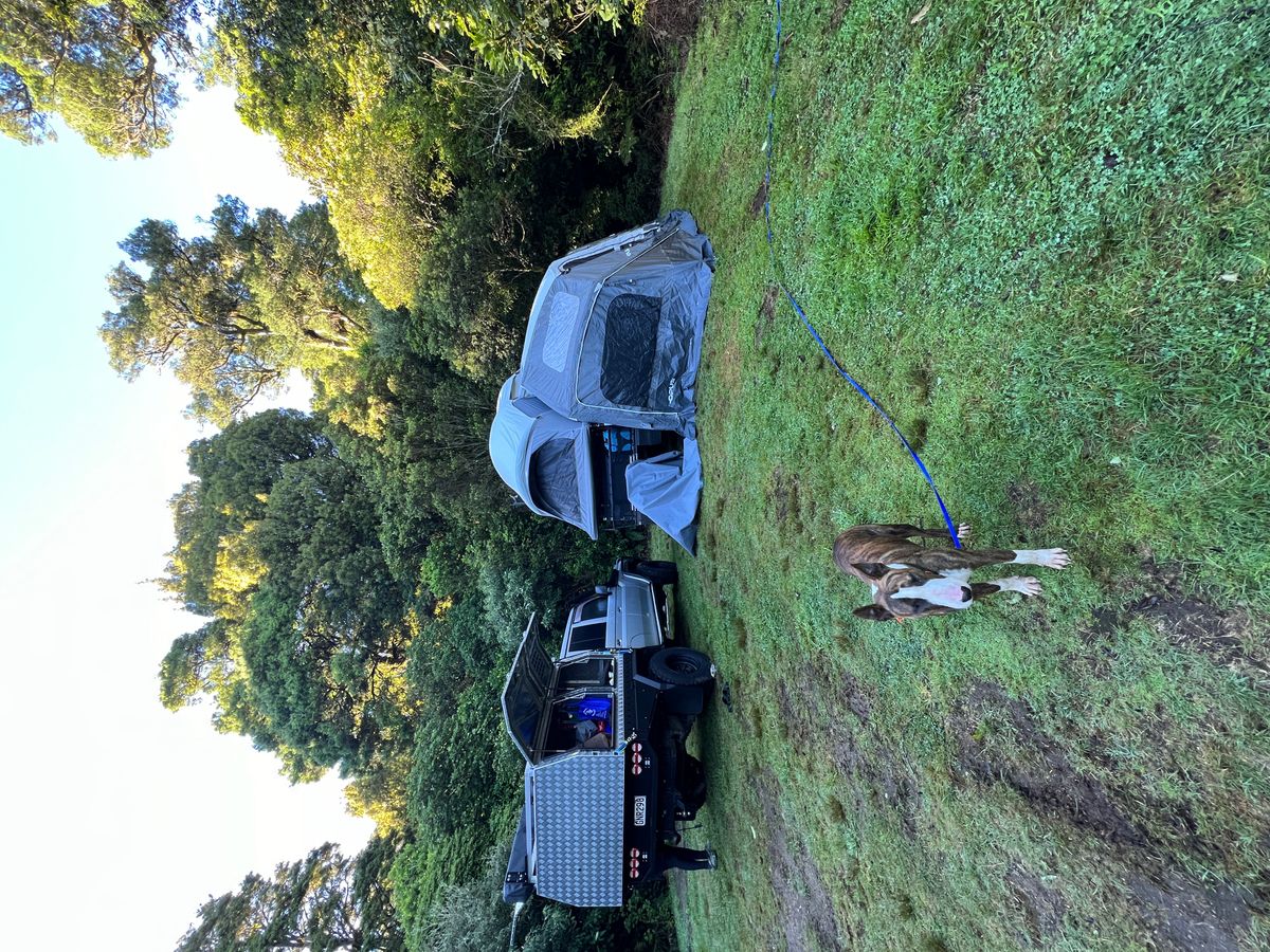 Ngaherenga Campsite image 3