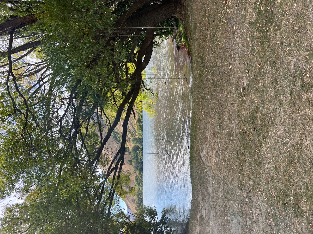 Parsons Rock Reserve image 5