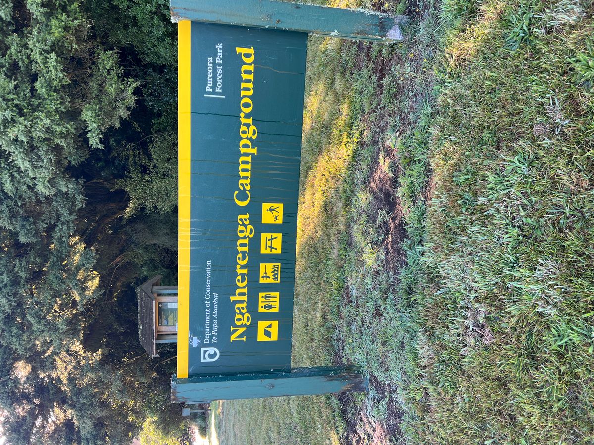 Ngaherenga Campsite image 4