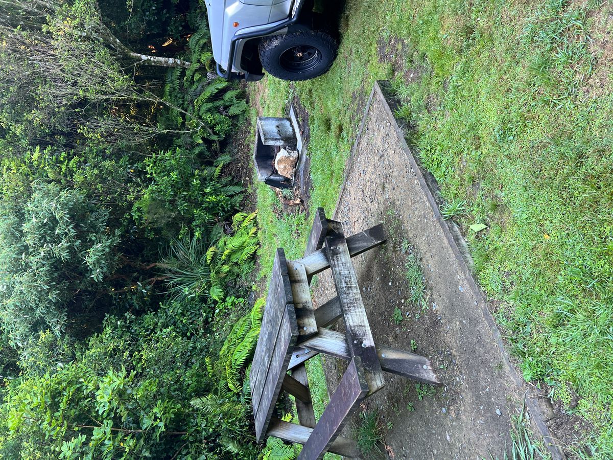 Ngaherenga Campsite image 2