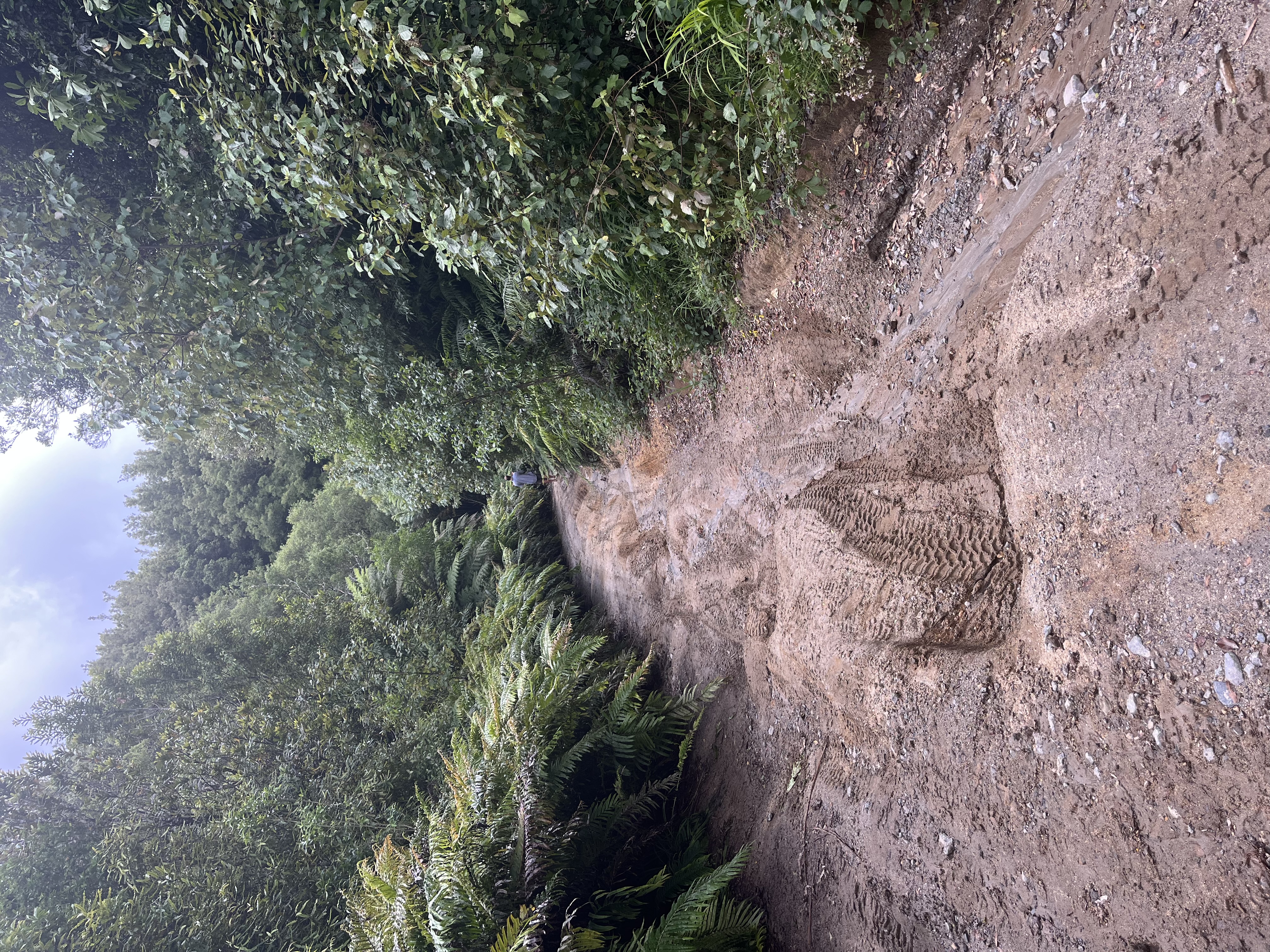 Hamilton Road image 1