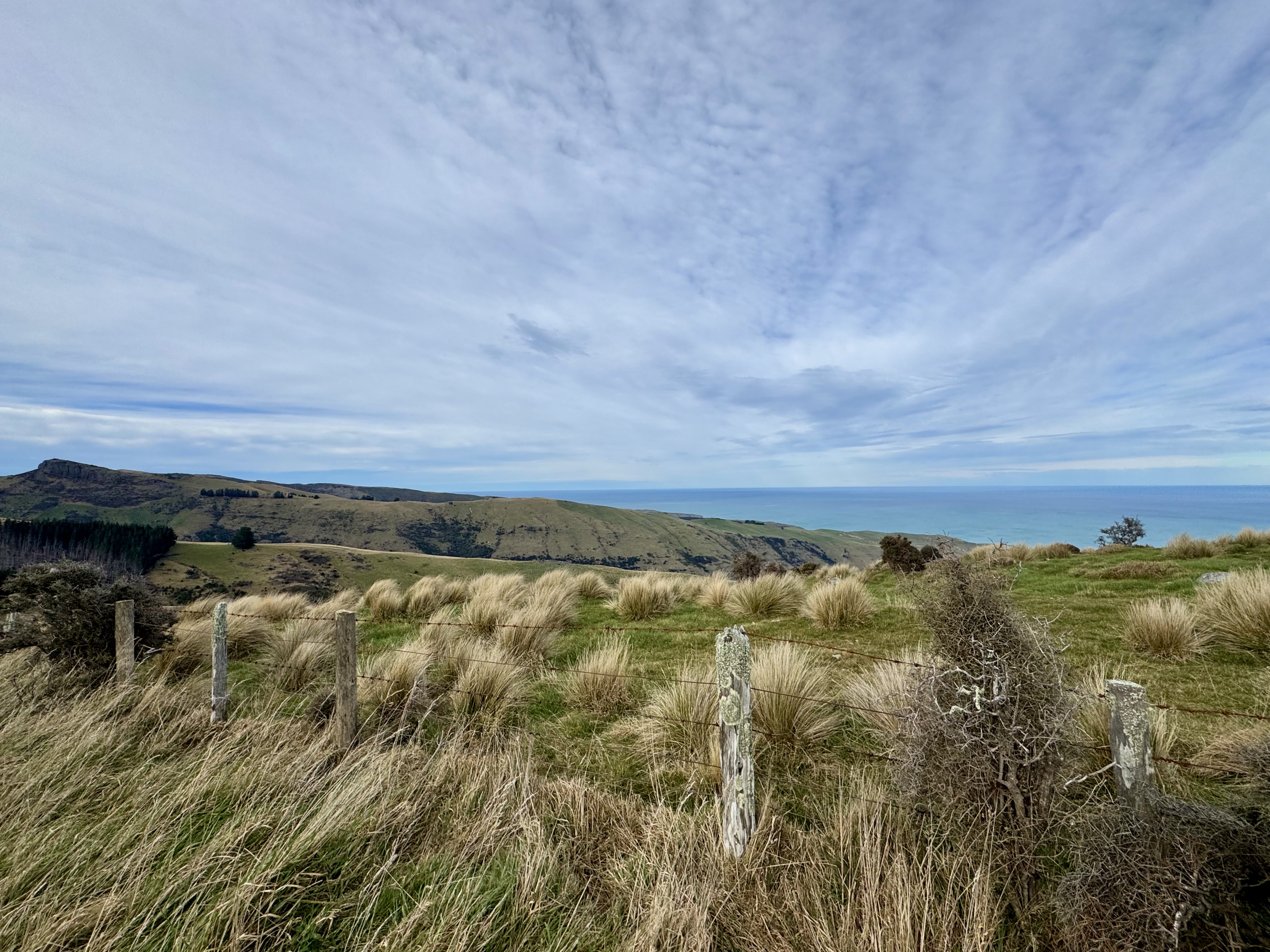 Bossu Road (Birdlings Flat) image 2
