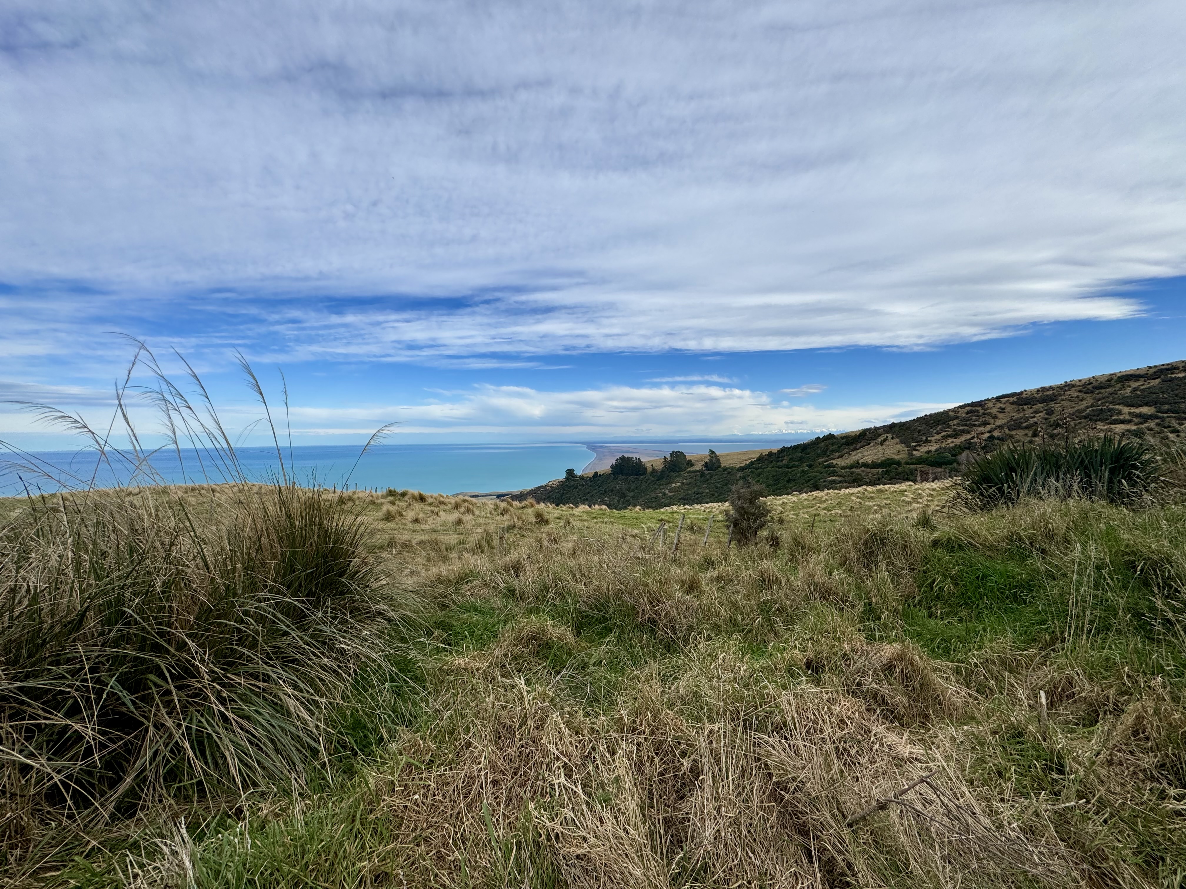Bossu Road (Birdlings Flat) image 1