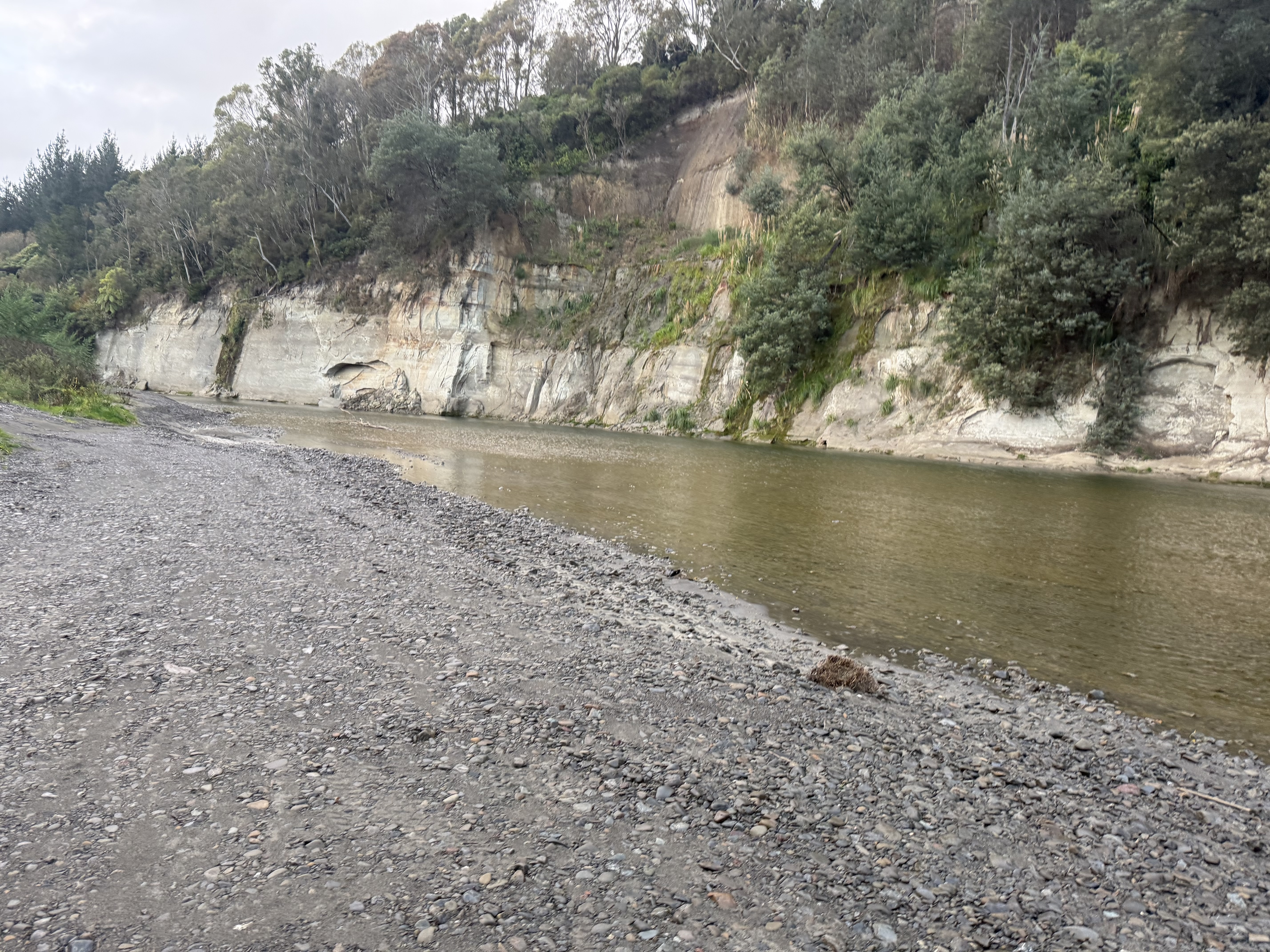 Raumai Reserve image 3