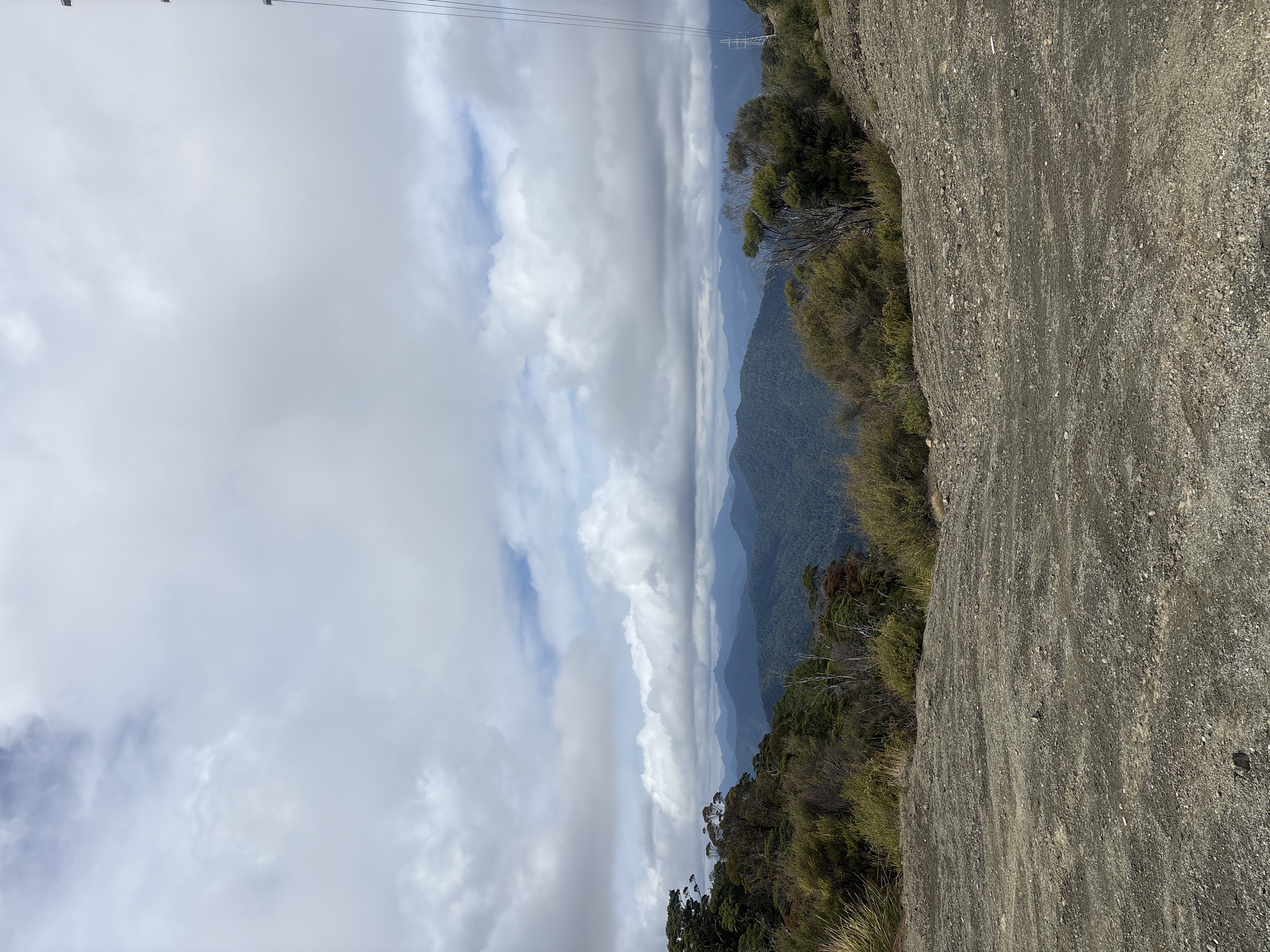Maungatapu Track image 2