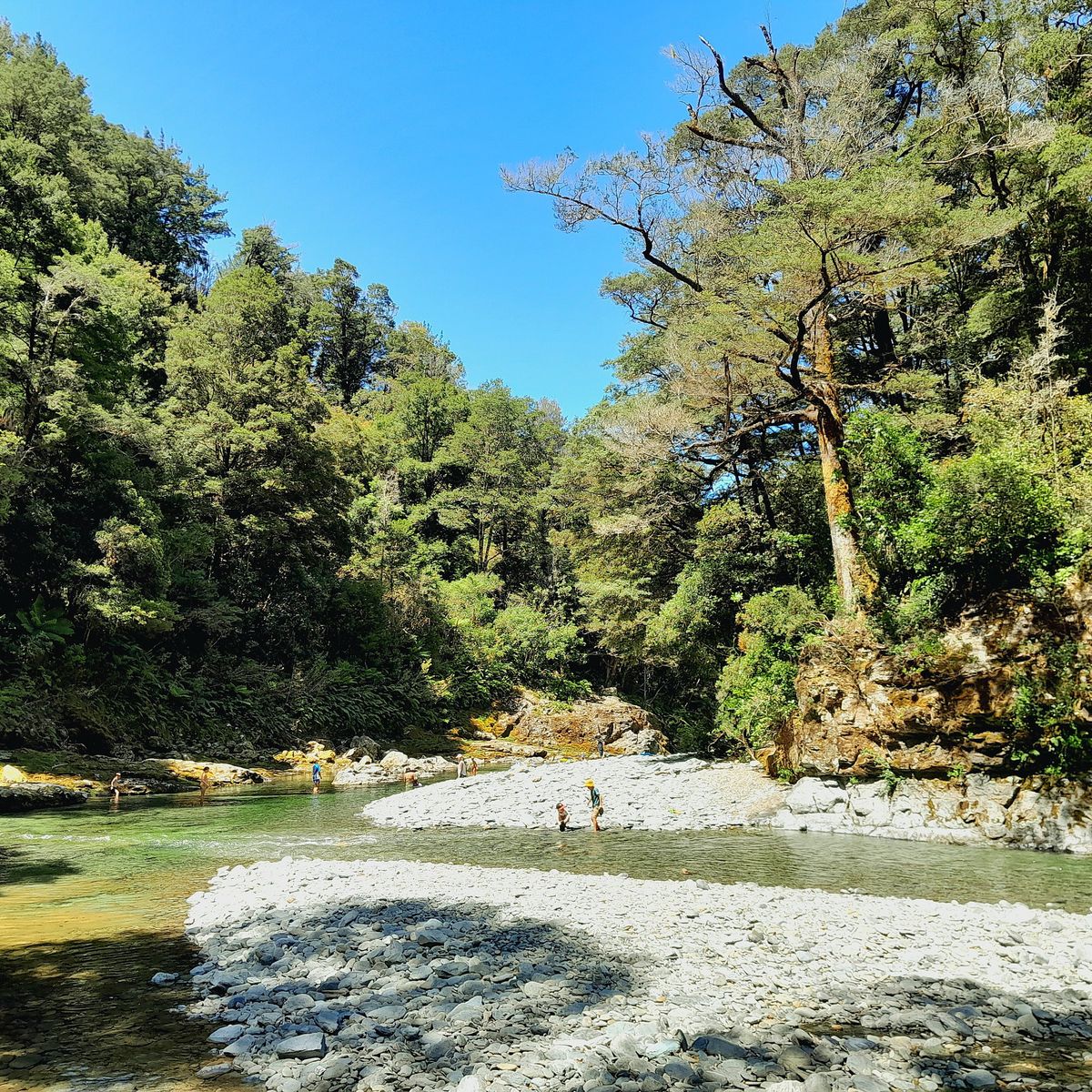 Butchers Flat Campsite image 5