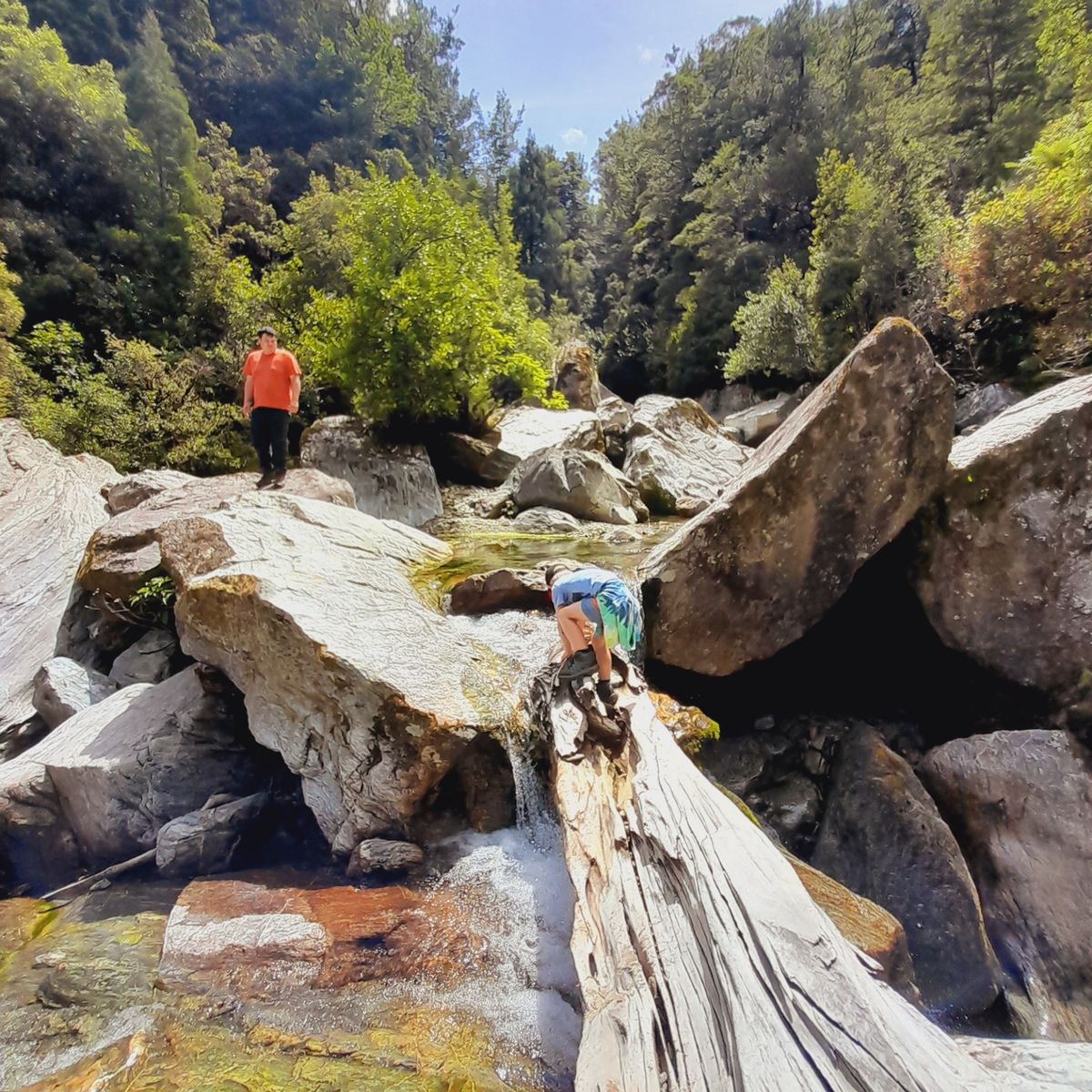 Butchers Flat Campsite image 6
