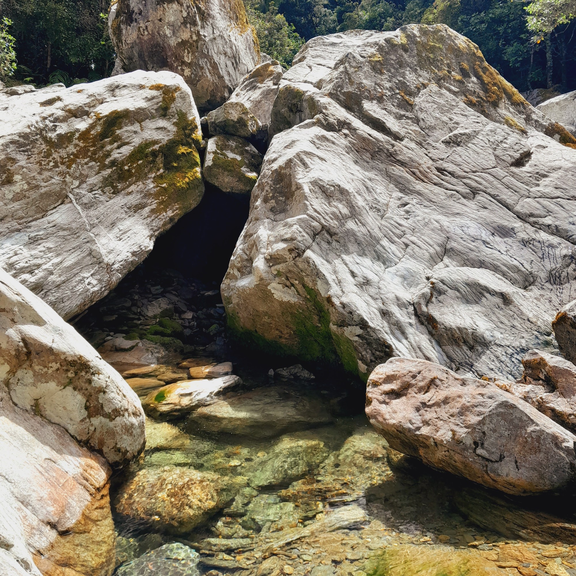 Butchers Flat Campsite image 3