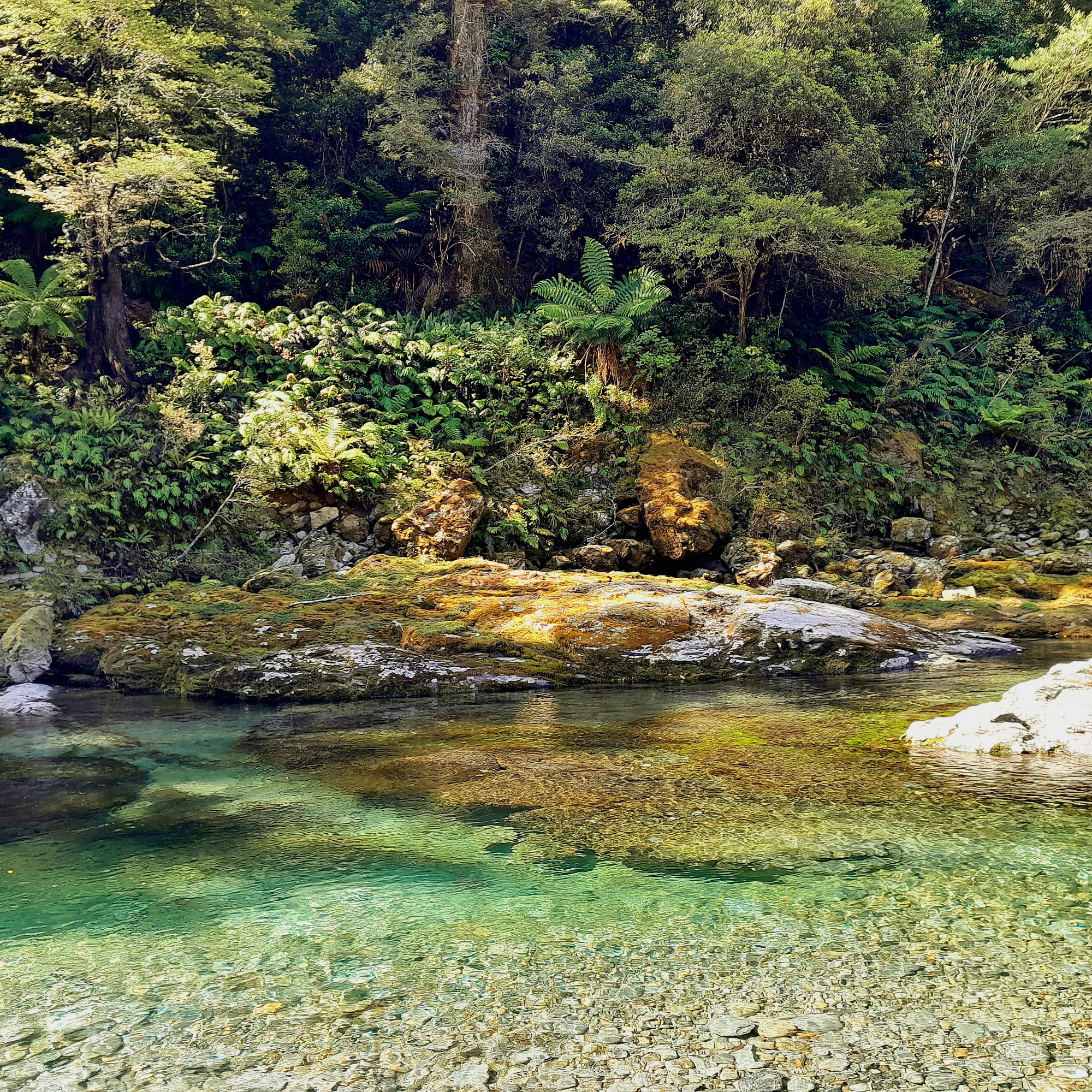 Butchers Flat Campsite image 8