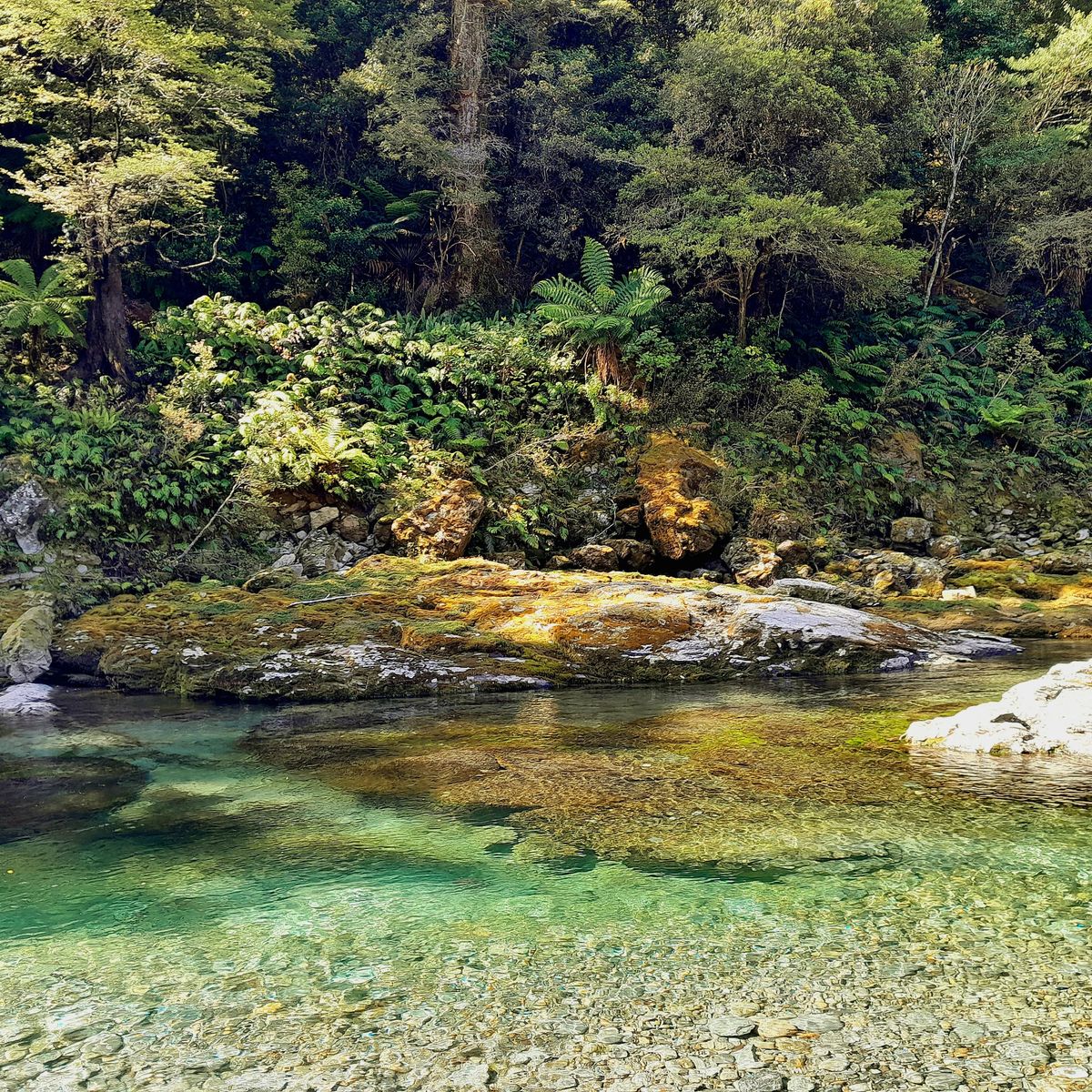 Butchers Flat Campsite image 8