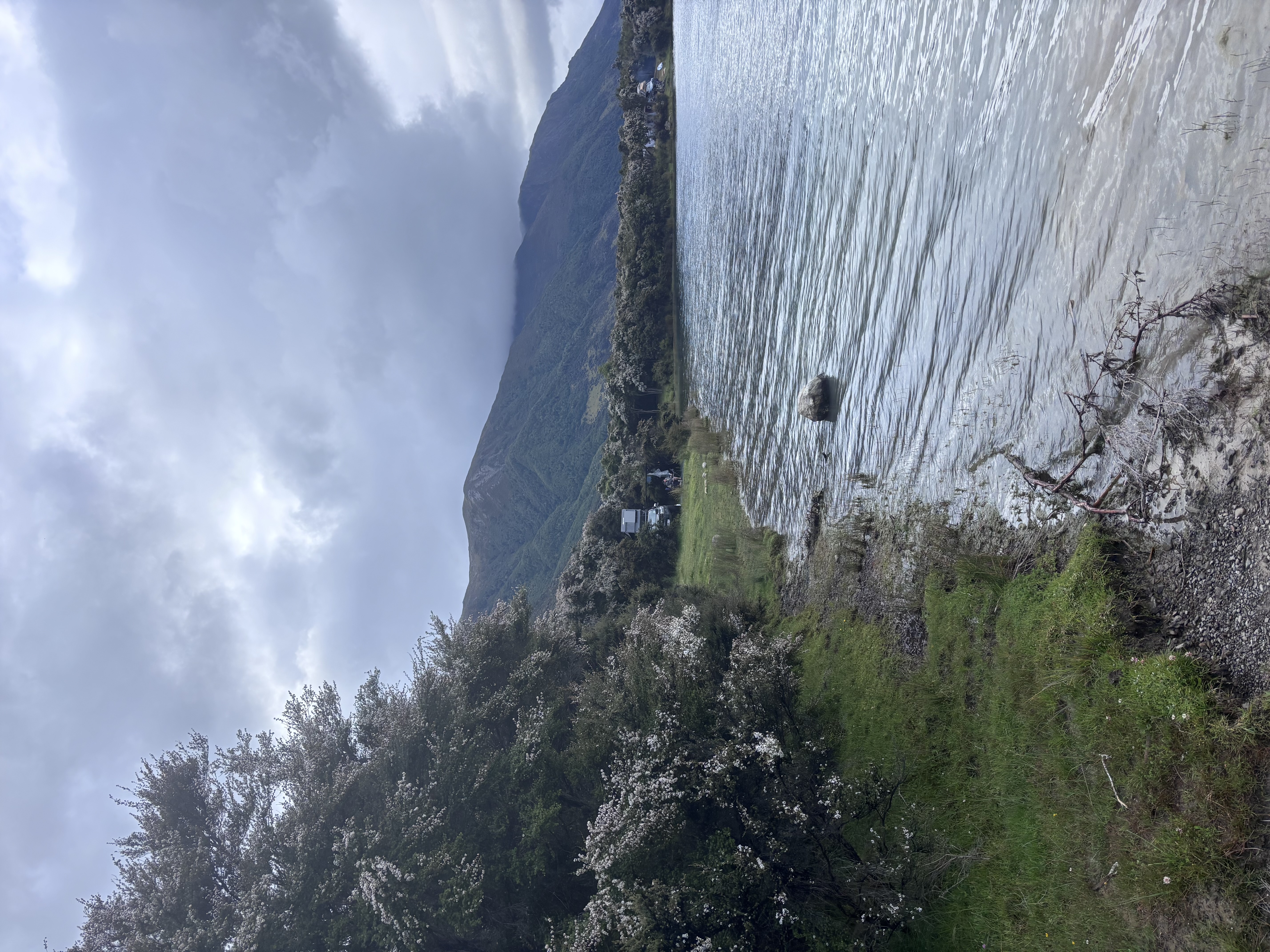 Lake Taylor Campsite image 1