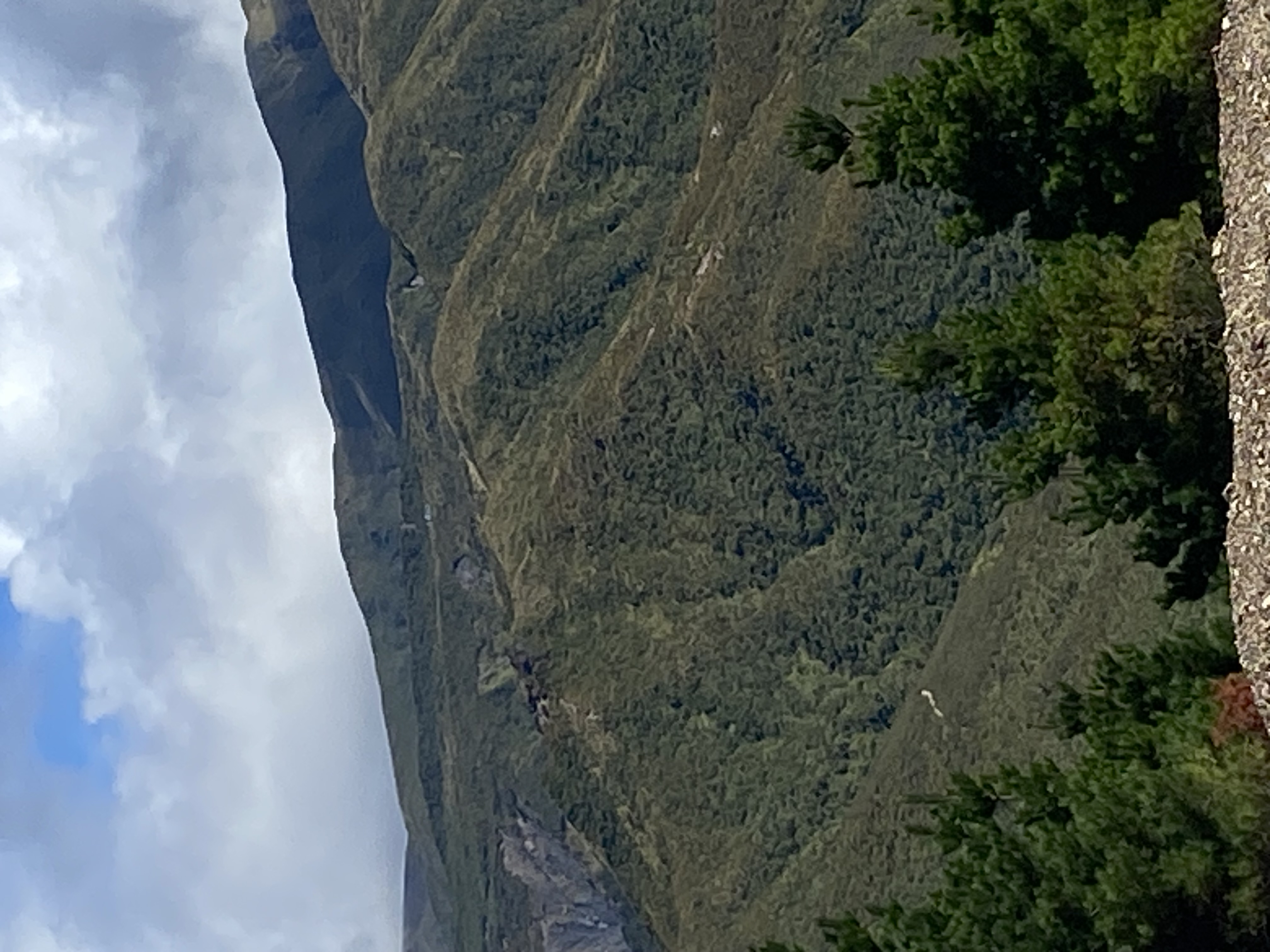 Kashmir Road image 4