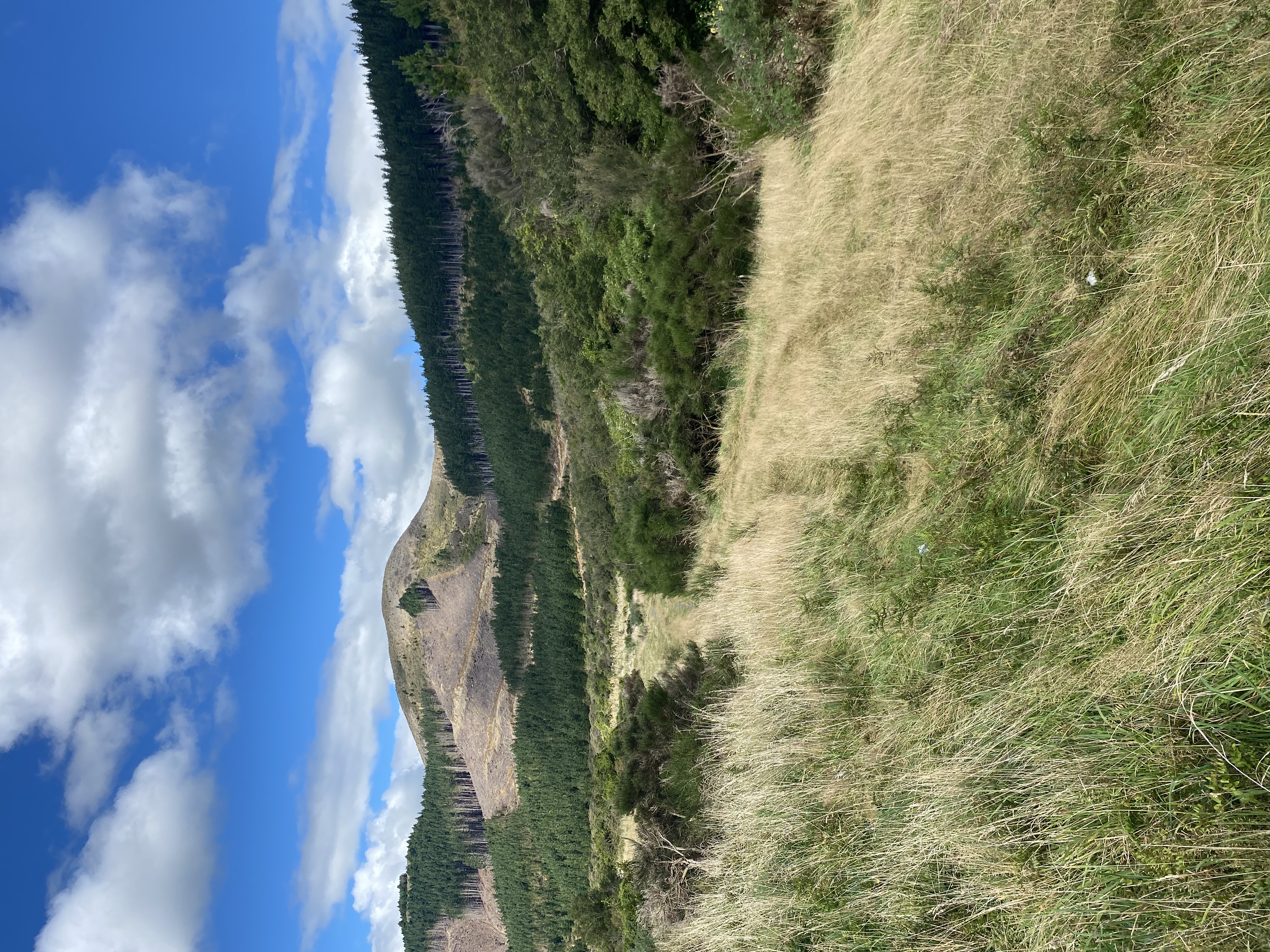 Kashmir Road image 6