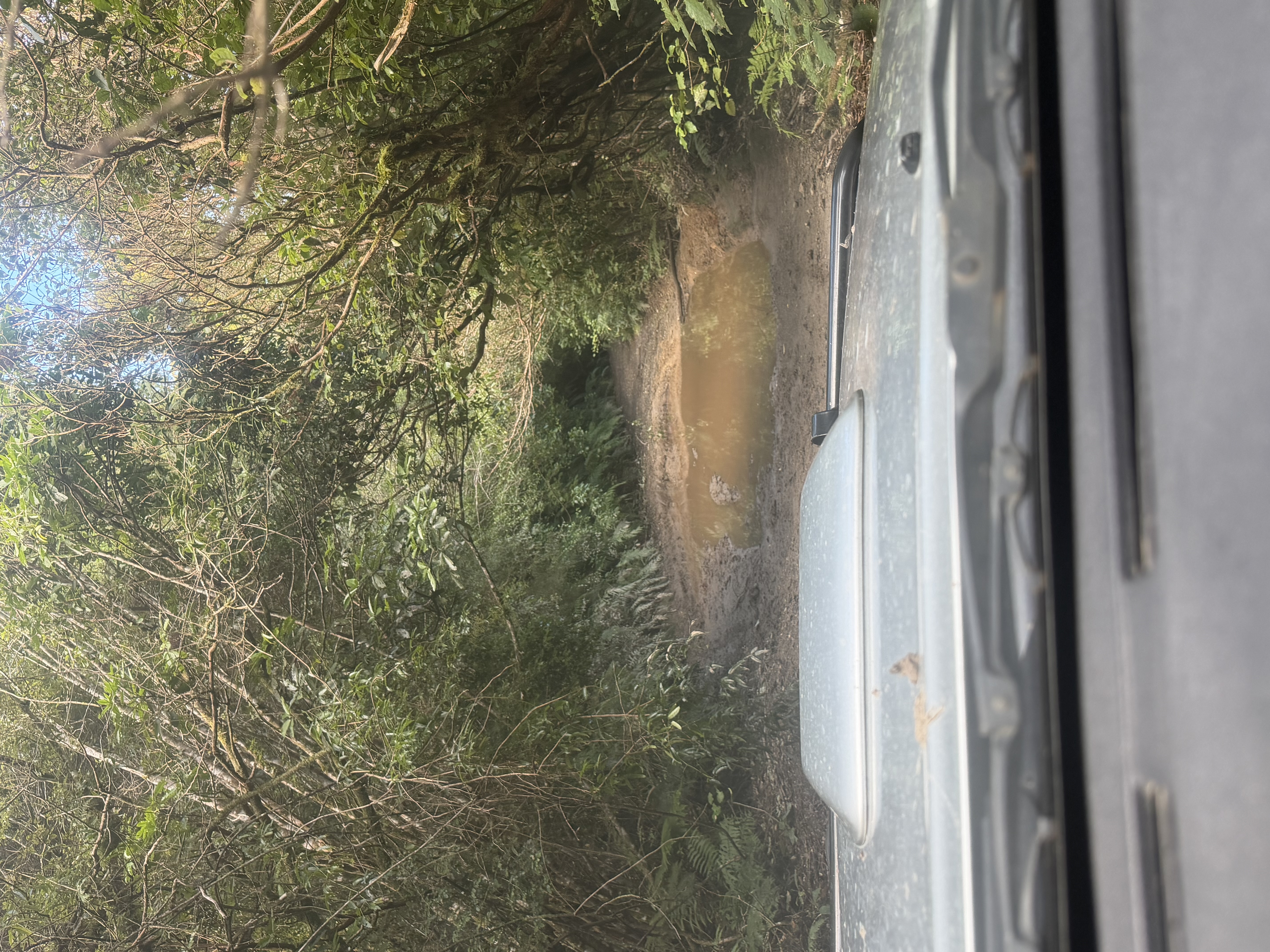 Bypass route image 1