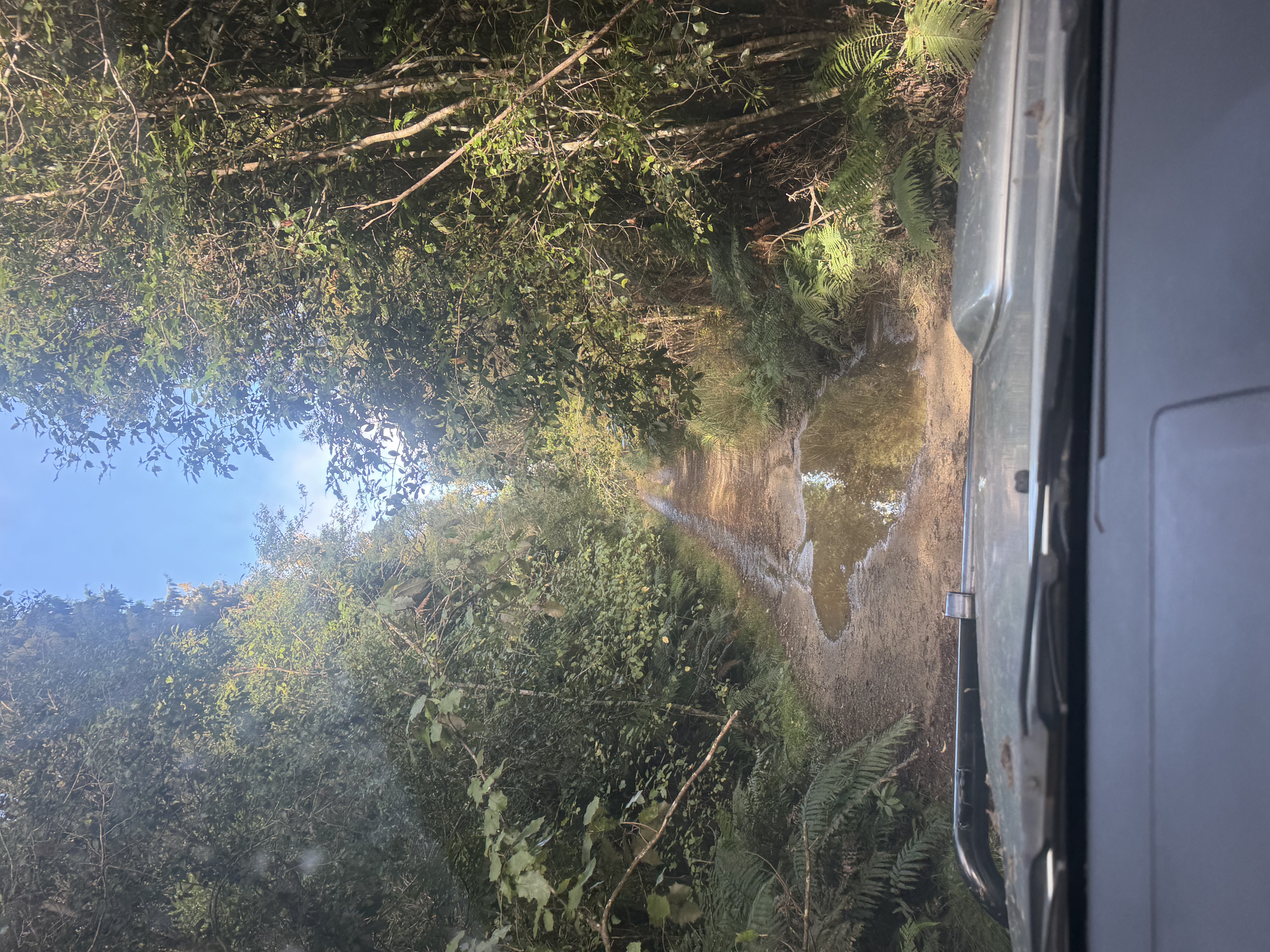 Bypass route image 4