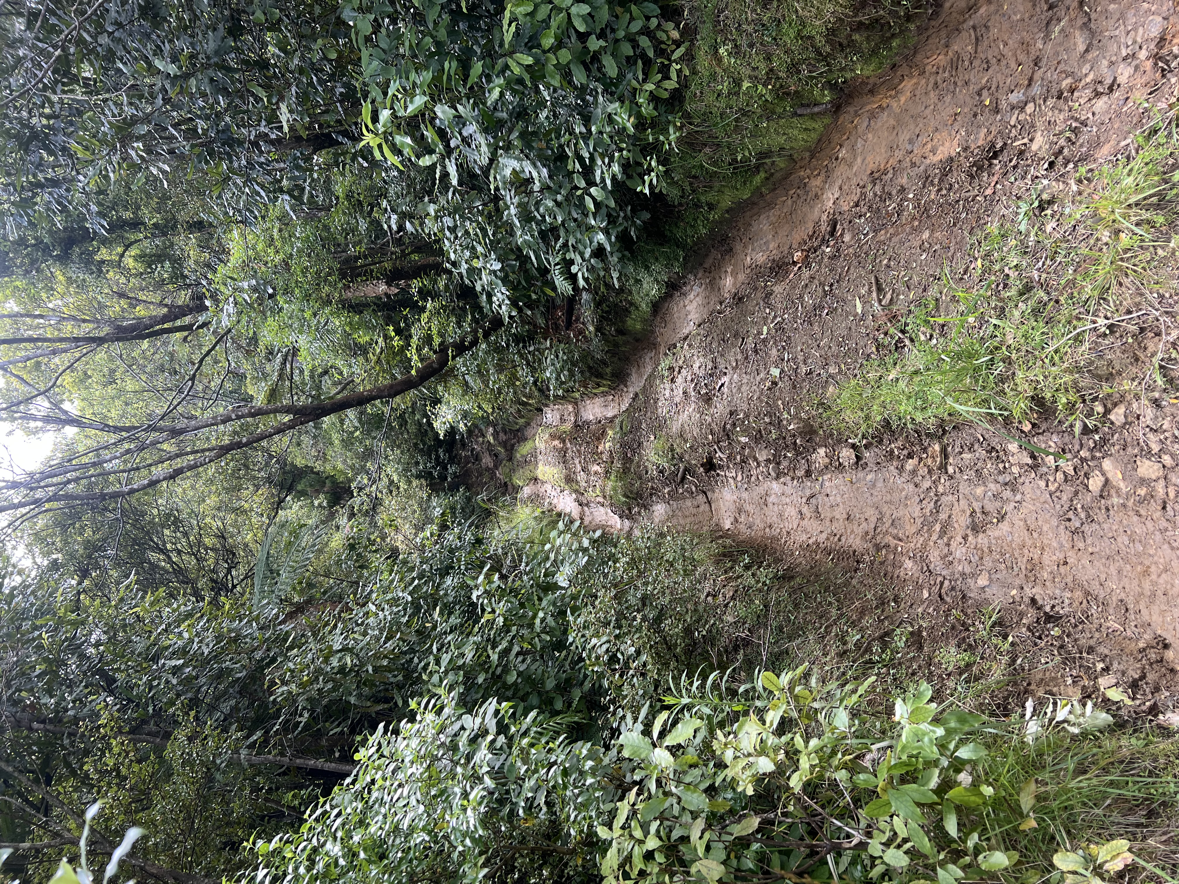 Takahue Saddle Road image 3