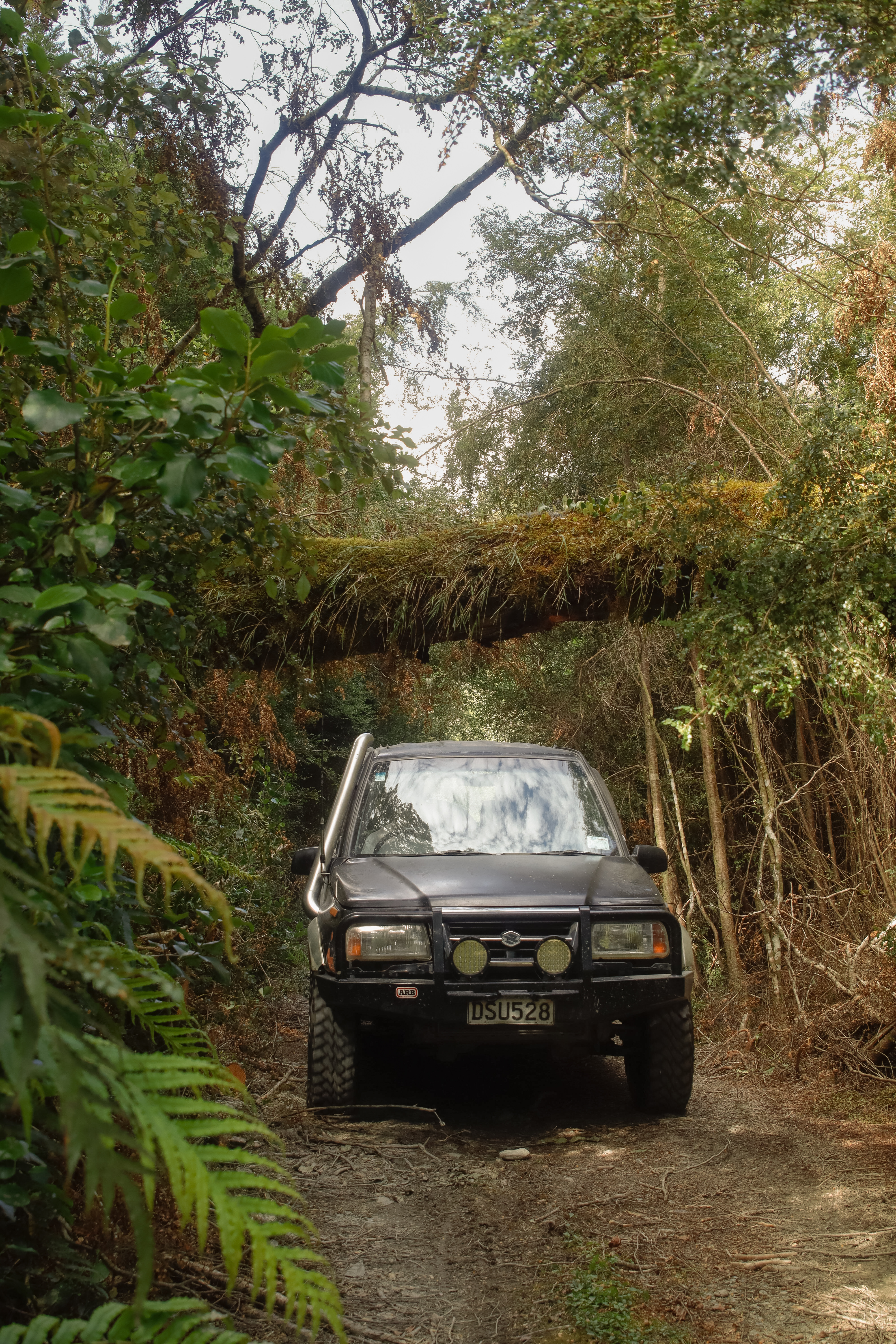 Landsborough Valley image 3