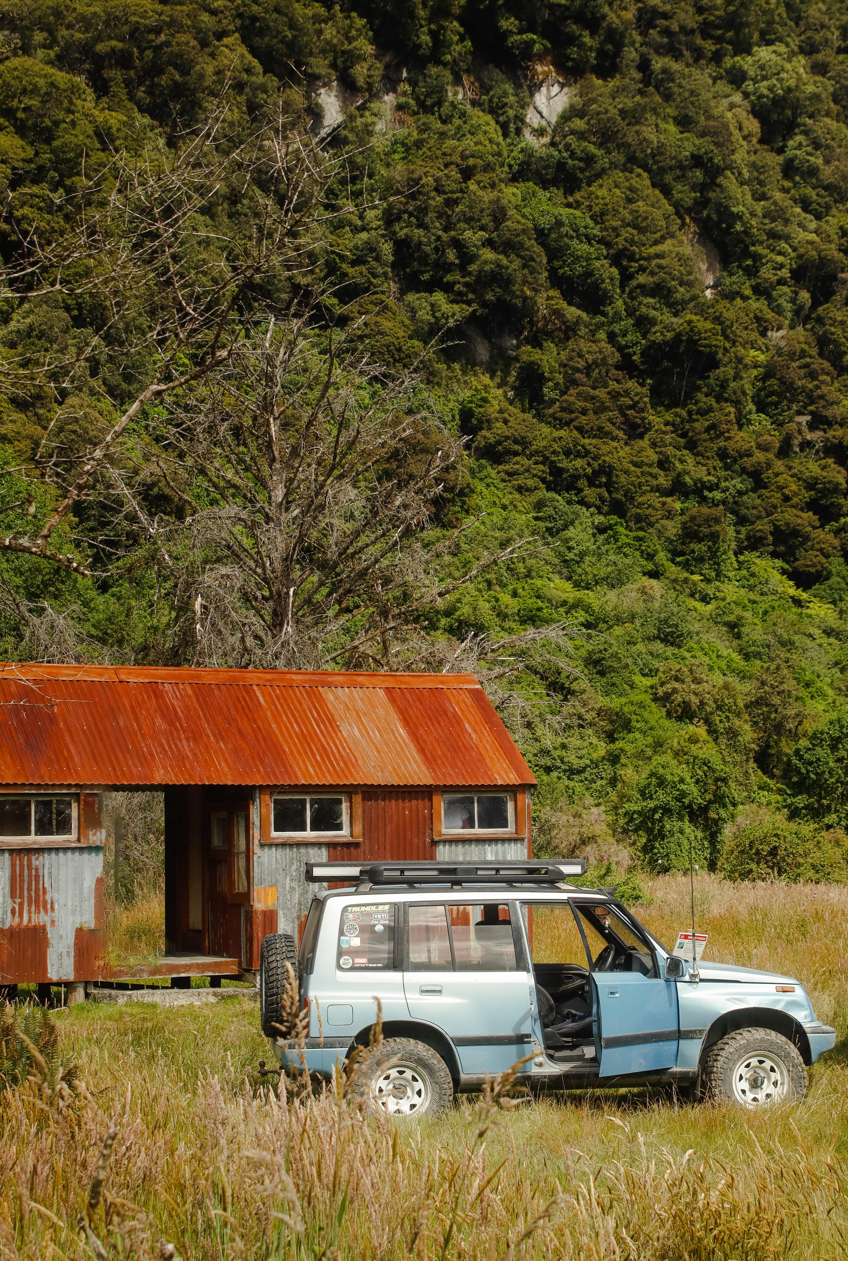 Landsborough Valley image 2
