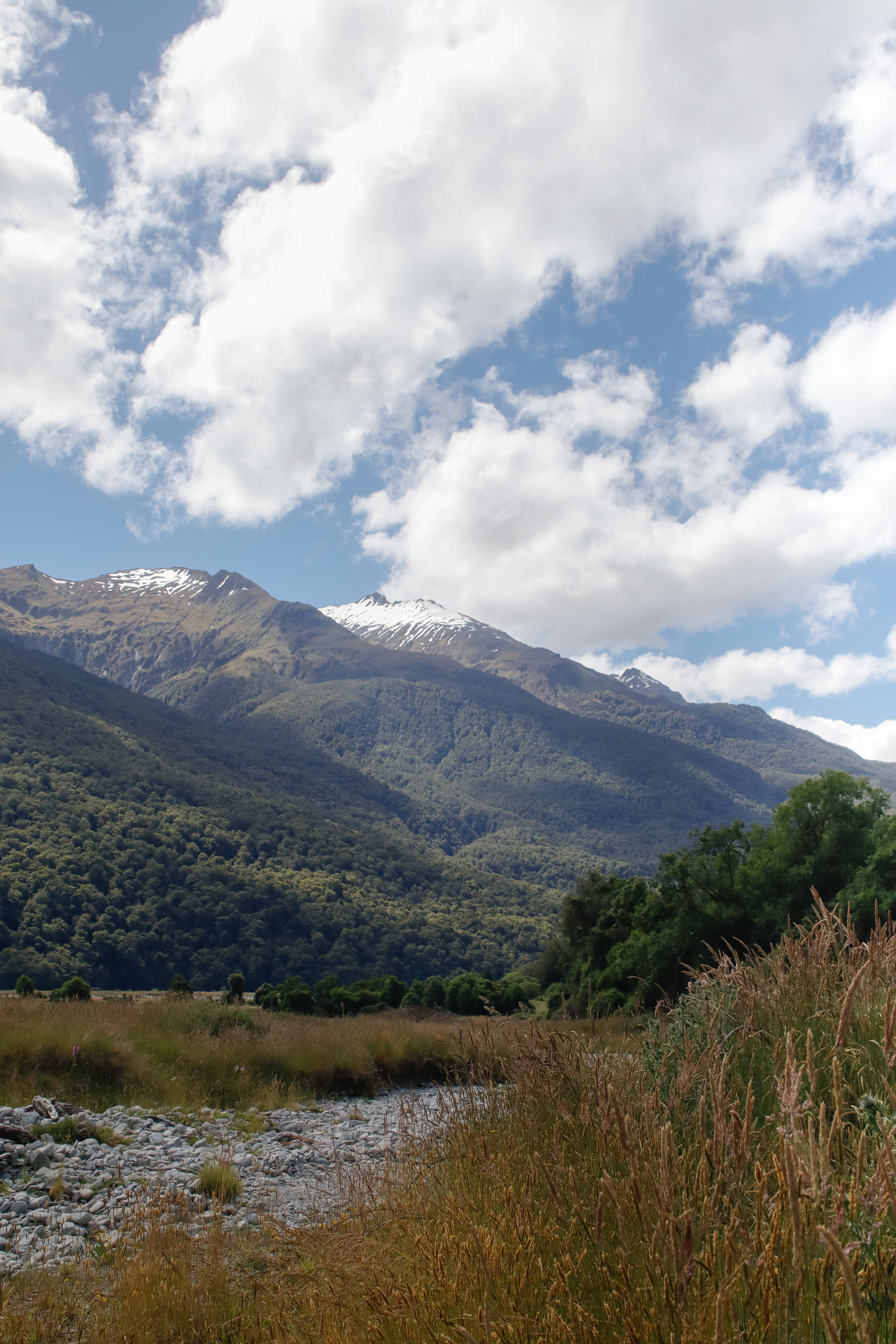 Landsborough Valley image 4