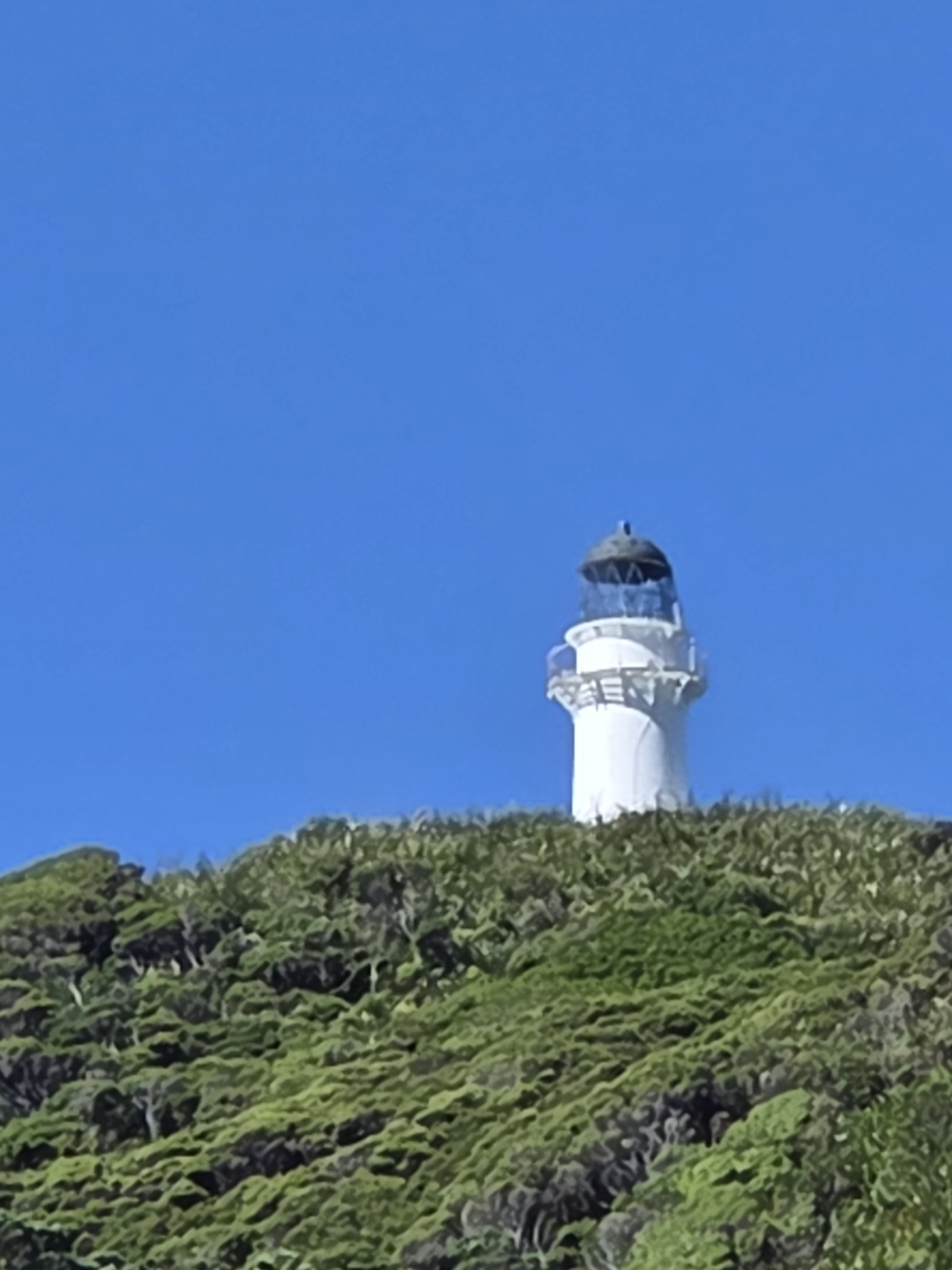 East Cape Road image 1