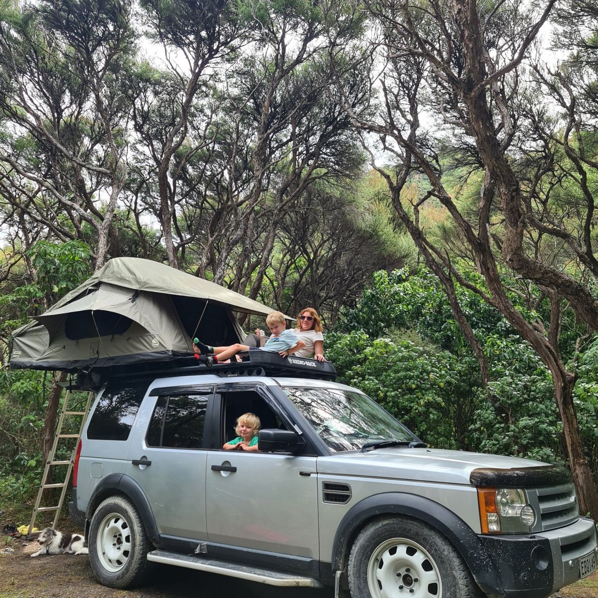 Corner Creek Campsite image 7