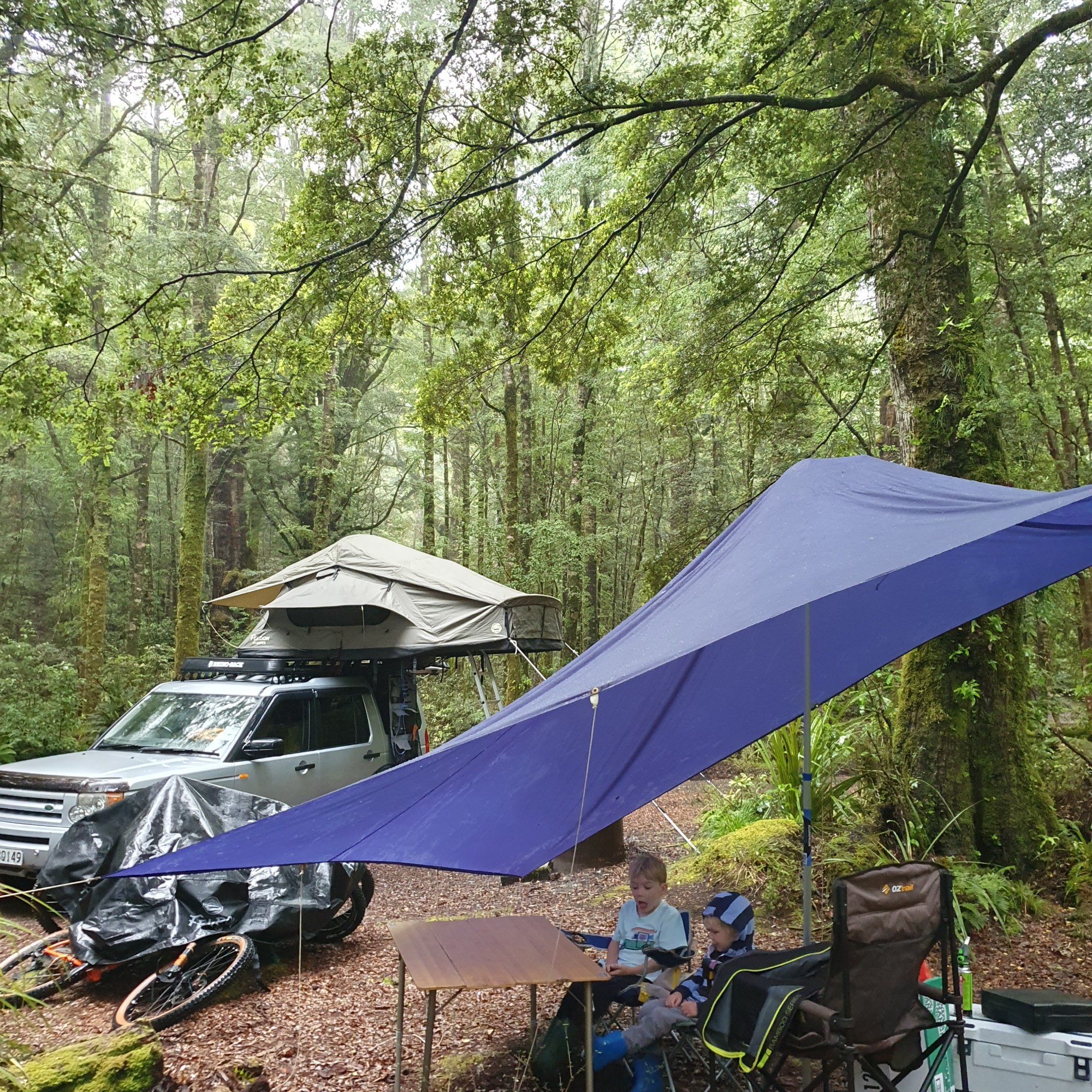 Clements Road End Campsite image 4