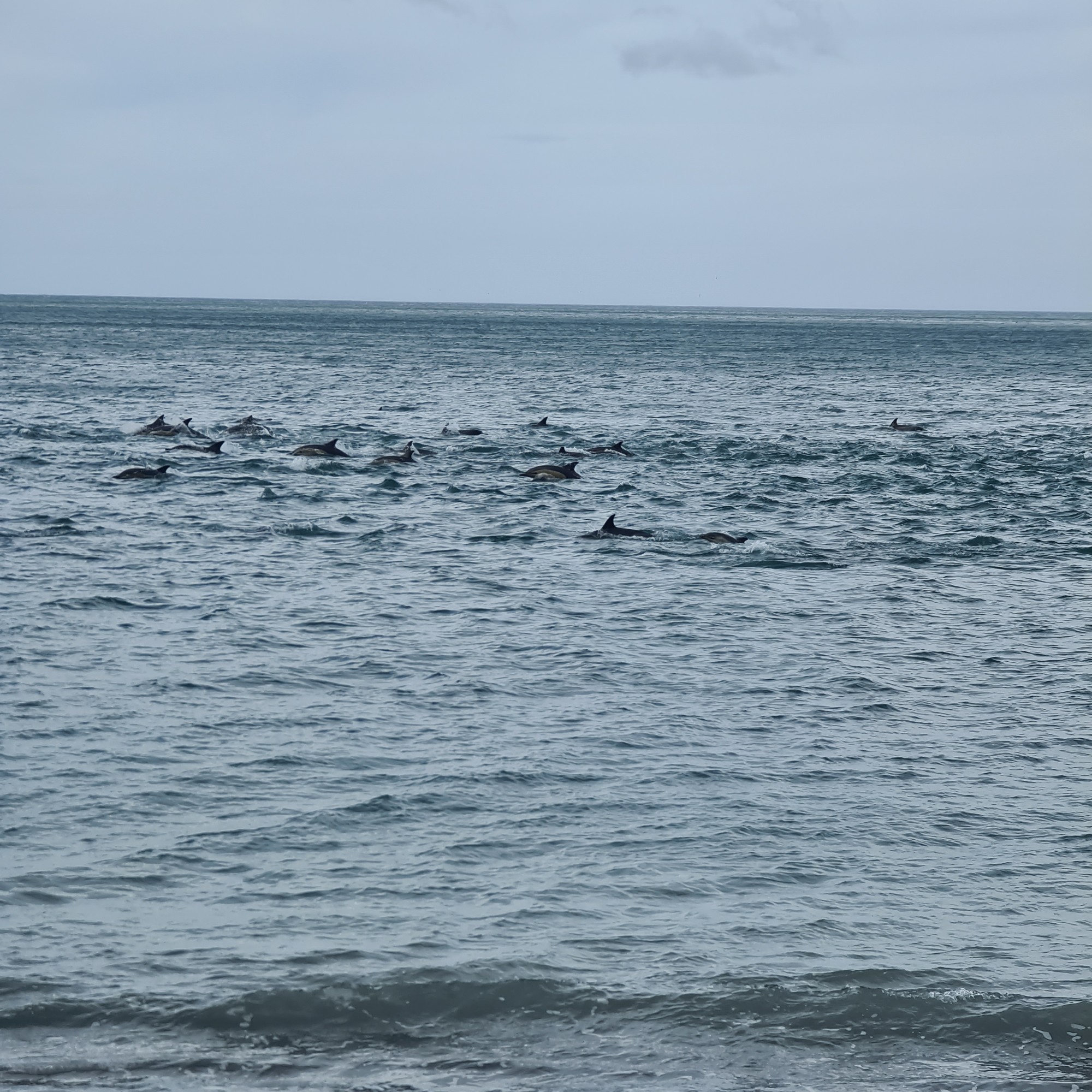 Corner Creek Campsite image 6