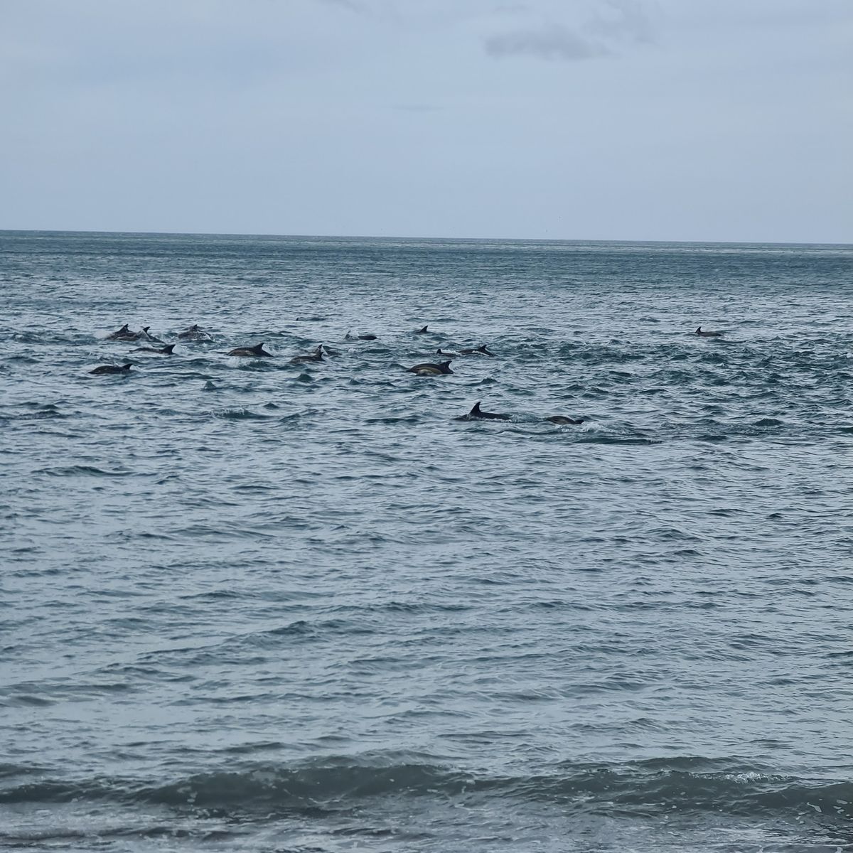 Corner Creek Campsite image 5