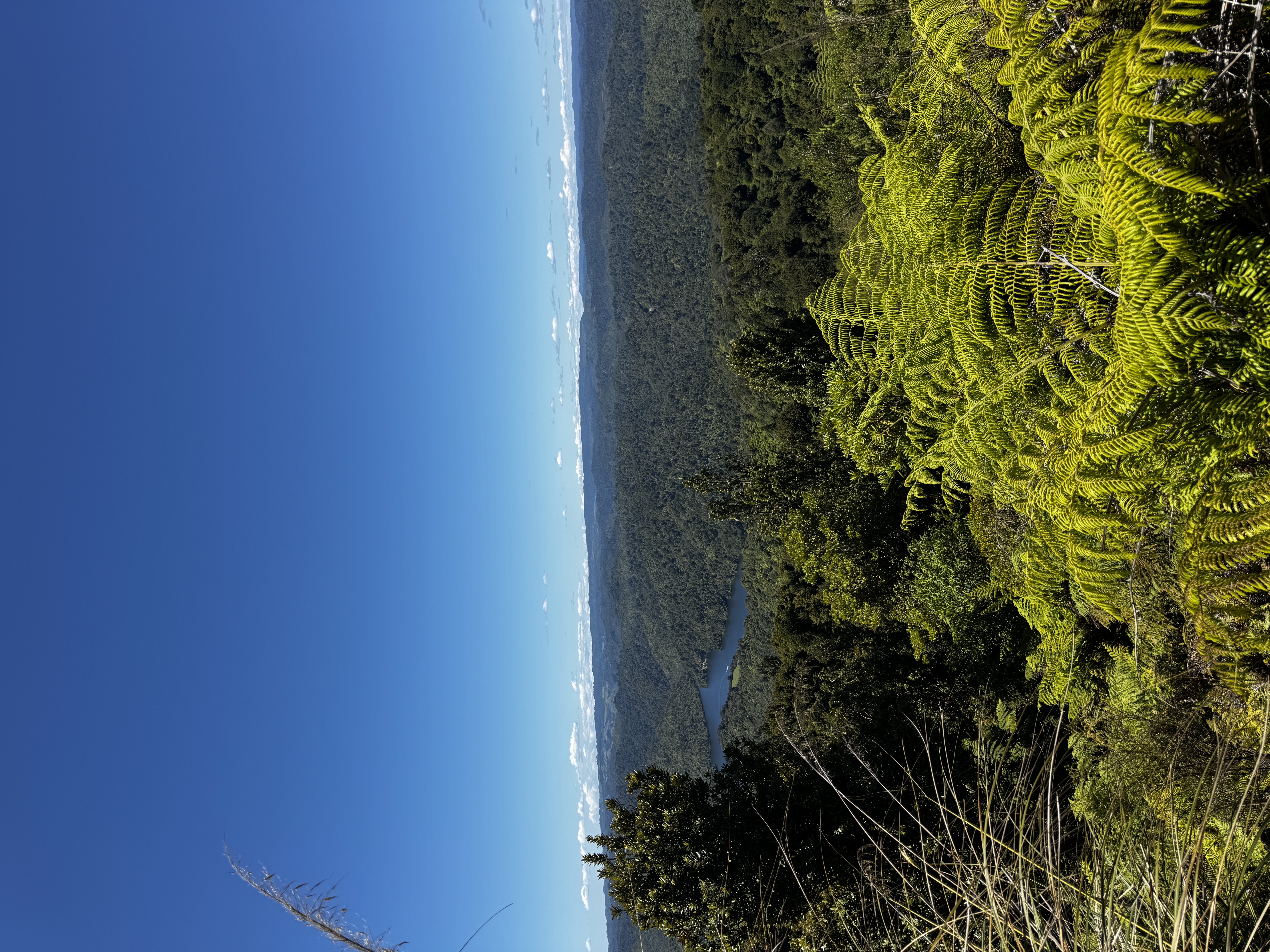 Meremere Road image 7