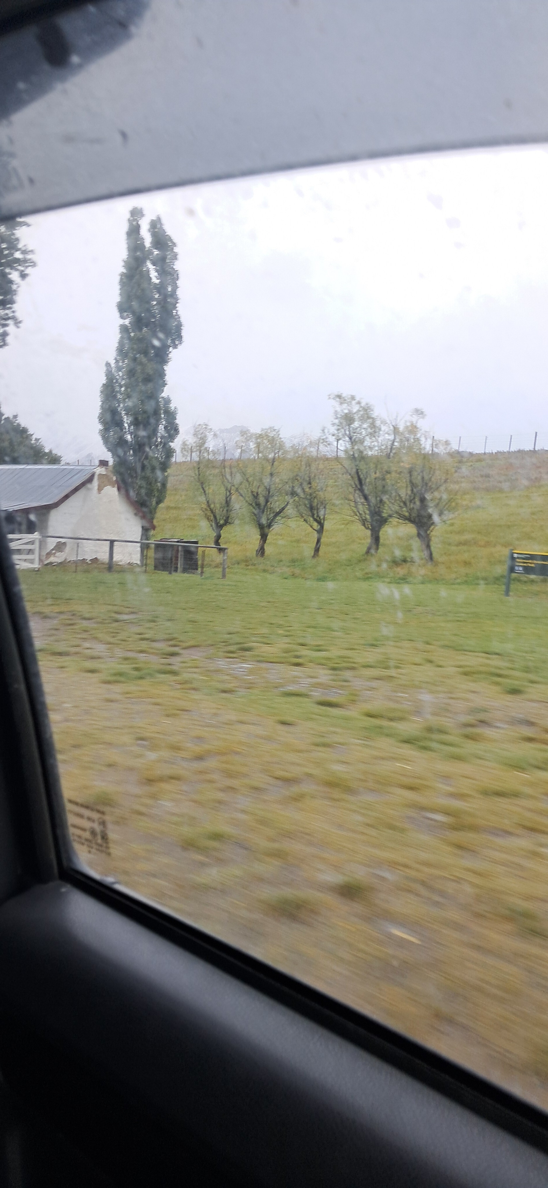 Molesworth Station image 4