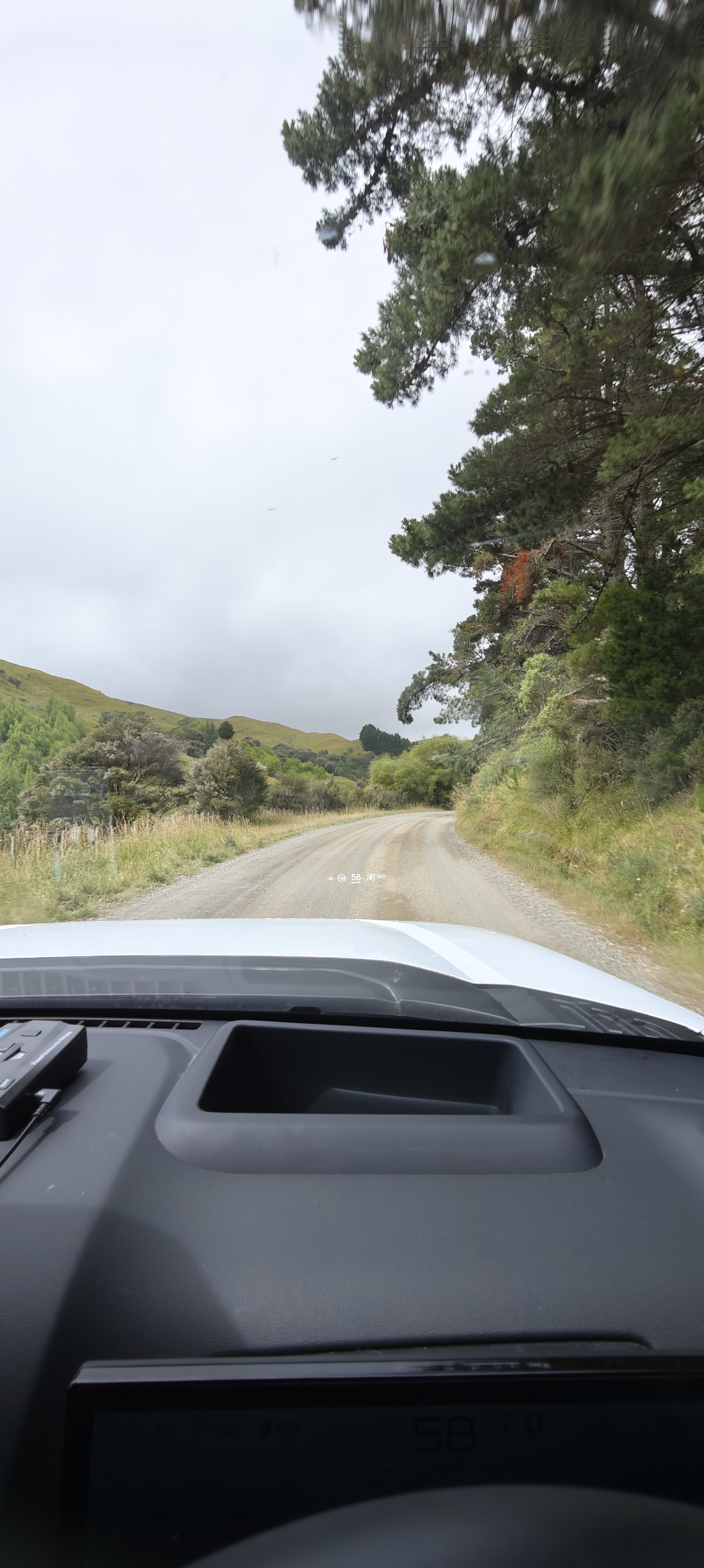 Tinui to Alfredton image 3