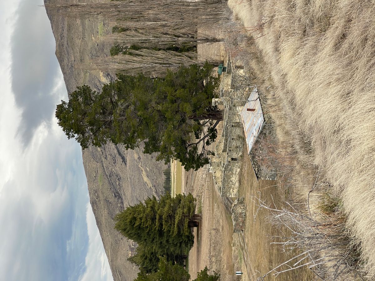 Lindis Pass Historic Hotel Campsite image 1